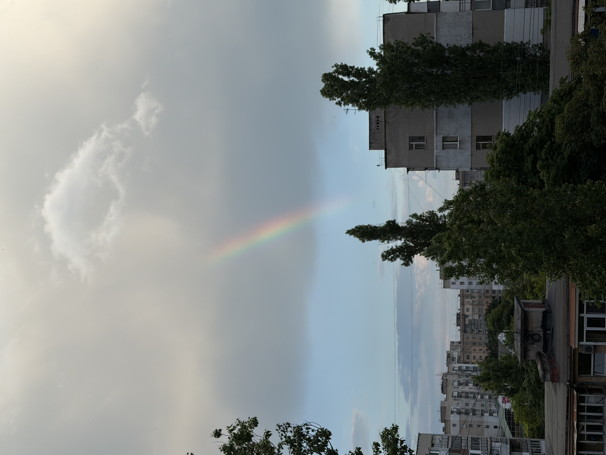 The image captures an urban residential scene under an overcast sky, illuminated by diffused light, likely in the late afternoon or early evening. A distinct rainbow, displaying a spectrum of colors from red to violet, arcs across the mid-left portion of the sky, originating from a dense grey cloud bank and descending towards the right out of frame. The sky transitions from heavy grey clouds in the upper left and center to lighter grey and a patch of pale blue in the lower sky, with a hint of brighter, yellowish light in the upper right.
The foreground and midground are densely populated with the green foliage of numerous tall deciduous trees, partially obscuring the lower sections of the visible buildings. Multiple horizontal power lines are visible running across the midground. The visible architecture primarily consists of multi-story, utilitarian apartment buildings, characterized by flat roofs, repetitive window patterns, and facades painted in muted tones of grey, beige, and white. One building in the mid-right features a small rooftop antenna structure. Further into the background, a dense cluster of similar residential buildings extends the urban environment. There are no individuals visible in the scene. The location is an urban residential area within Unknown, Unknown.