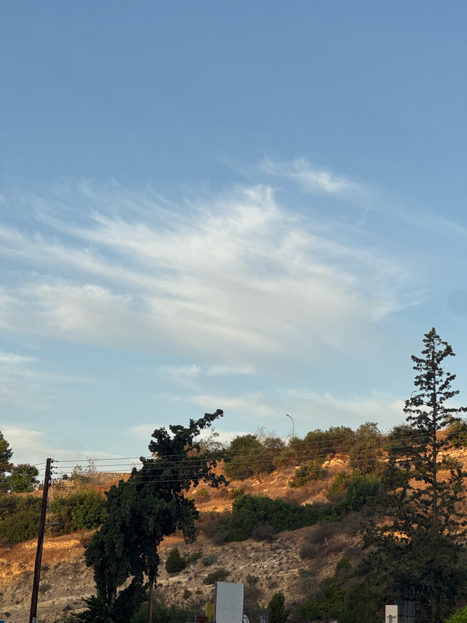 A slightly low-angle, full shot captures a sunlit, arid hillside in Agios Tychona Community, Cyprus, under a pale blue sky with scattered wispy white clouds. The hillside, covered in dry brush and sparse green vegetation, is illuminated by the warm glow of late afternoon sun. Several trees are visible: a large, dark green cypress-like tree dominates the right side of the frame, its branches reaching upwards. To the left, another dark green, dense tree stands on the slope, its branches unevenly spread. A wooden utility pole with multiple wires stretches across the mid-ground, connecting to other poles and infrastructure further back. The terrain is rocky and uneven, with some retaining walls or stone structures visible on the slope. A distant street light is visible on the crest of the hill. In the foreground, parts of a white rectangular structure and a black metal fence are partially visible. No people are present in the scene.