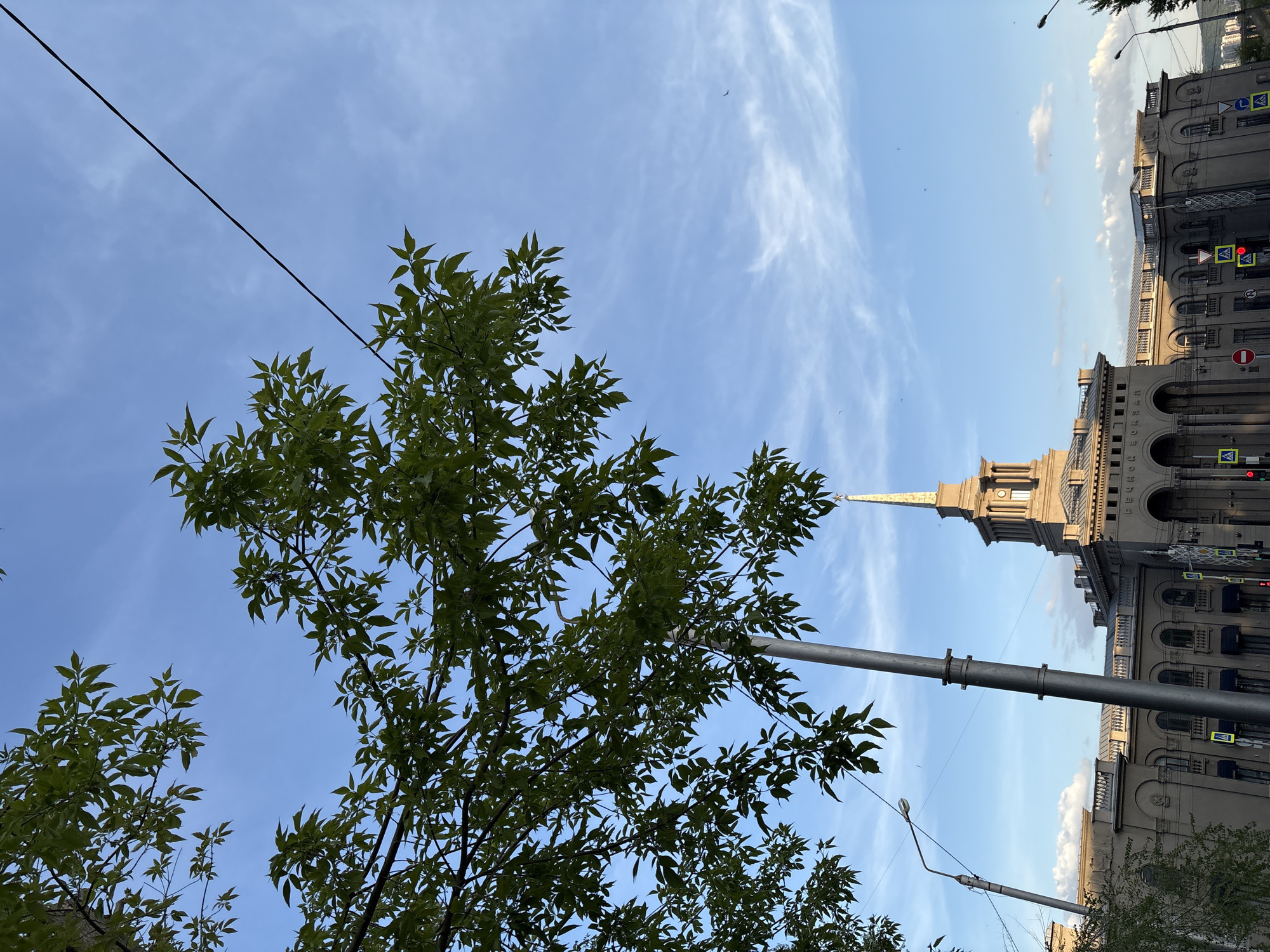 The image shows a view looking up through a tree towards a building in Krasnoyarsk, Russia. The building has a spire. A utility pole with a streetlight stands among the tree branches. Overhead power lines are visible against a blue sky with wispy clouds. Street signs and crosswalk signs are visible on the side of the building.