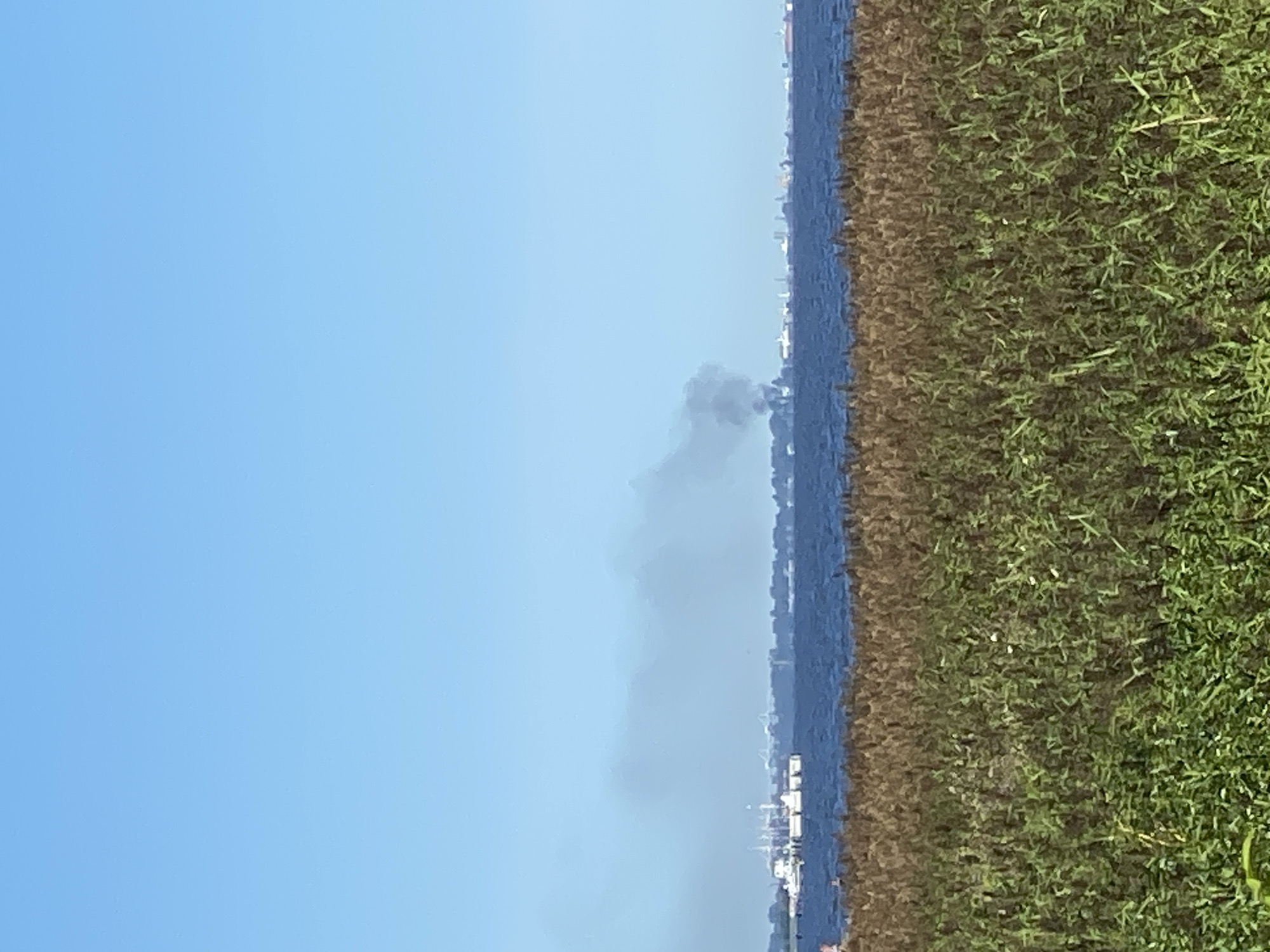 The image captures a wide shot of a body of water under a clear blue sky, with a low-lying distant city skyline visible across the water. In the foreground, a dense field of tall, dry grass in shades of brown and green occupies the bottom third of the frame. The middle ground is dominated by the dark blue water, with the distant city skyline featuring various structures and industrial elements on the horizon. A prominent plume of dark grey smoke rises from the city, indicating a fire or industrial activity. Several boats are present on the water near the skyline. The overall scene is one of a coastal landscape with signs of urban activity and a notable smoke plume. This scene is located in Peterhof, Russia, likely near the Gulf of Finland.