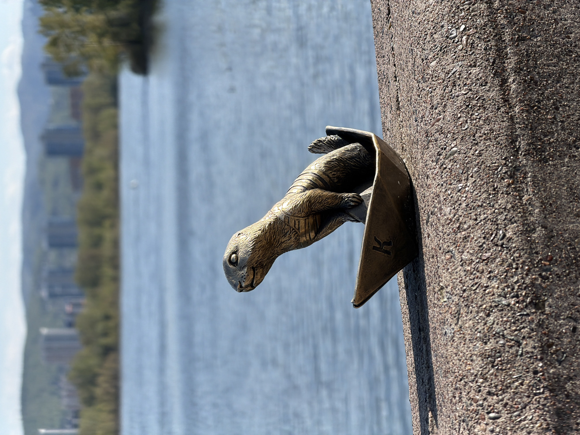 The image shows a bronze sculpture of a rodent emerging from a bronze plate on a concrete wall. The rodent resembles a squirrel or chipmunk, with detailed fur and facial features. The bronze plate has a small "K" imprinted on it. The wall is made of rough, textured concrete. In the background, there is a body of water (likely the Yenisei River) and the skyline of Krasnoyarsk, Russia. The image is oriented with the sculpture seemingly jutting out towards the water.