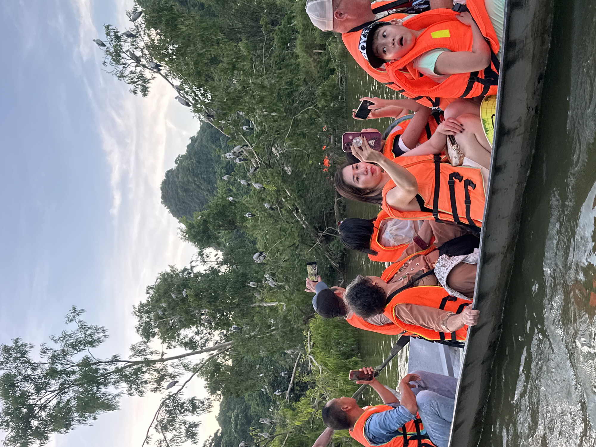 In the city of Yên Sơn Ward, Vietnam, a group of people are on a boat tour, likely in a river or calm body of water, surrounded by lush green trees and hills. The boat is filled with individuals wearing bright orange life vests, suggesting a recreational activity. Some people are taking photos with their phones, capturing the scenery and possibly the abundant birds perched on the trees. In the background, numerous birds, appearing to be egrets or similar wading birds, are visible in the branches of the trees, creating a natural spectacle. The sky is overcast with diffused light, indicating it might be late afternoon or early evening. The overall scene depicts a serene and natural setting, with tourists enjoying a local experience.