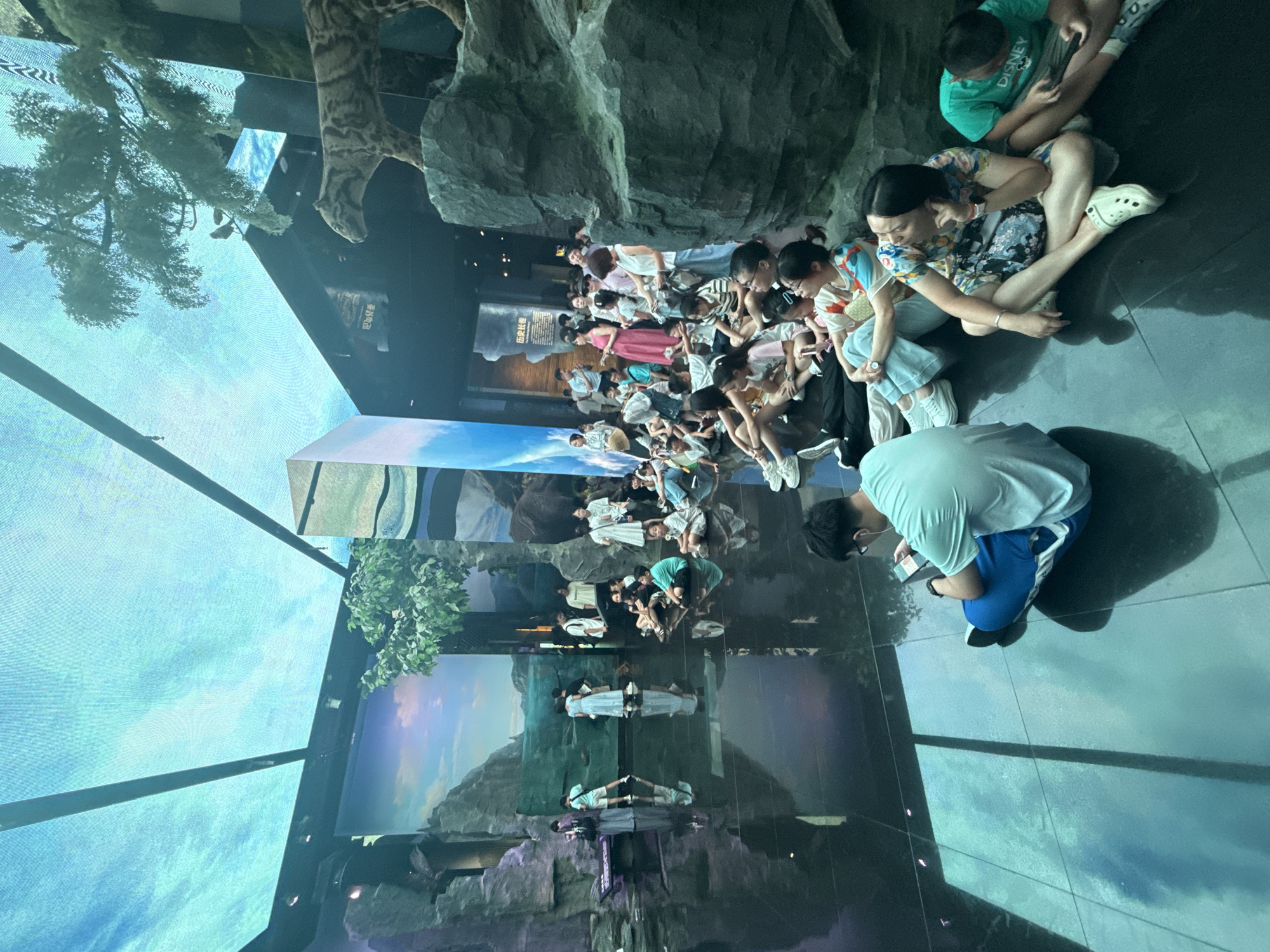A large group of people are seated on a shiny, dark floor, facing a stage area with projected scenery. The ceiling is a large LED screen displaying a bright blue sky with clouds. In the foreground, several individuals are seated, some looking towards the stage, others looking at their phones. The seated individuals are dressed in casual clothing. In the mid-ground, a group of people, including children and adults, are also seated on the floor. Some are looking at the stage, and some appear to be interacting with each other. To the left, there is a rock-like structure and a projected landscape of mountains and a body of water. On the stage, there are a few figures, possibly performers. In the background, there is a diorama of a tiger on a rock and artificial trees. The overall environment appears to be an indoor exhibition or performance space, possibly a museum or aquarium, with a focus on naturalistic displays and immersive projections. The location is Yuzhong District, China.