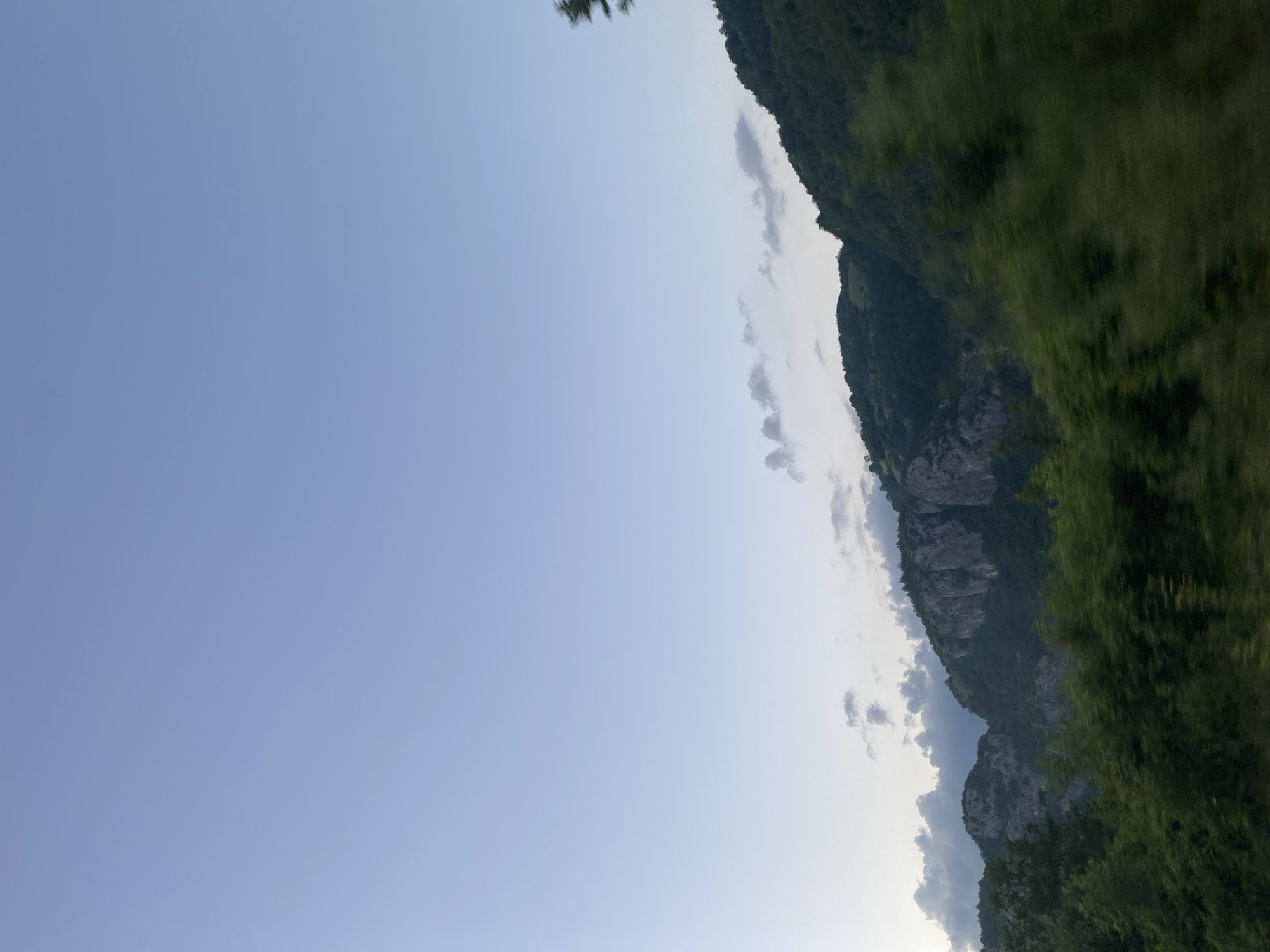 The image depicts a natural landscape with mountains and lush green vegetation. The sky is a clear, pale blue with a few wispy clouds. The foreground is dominated by dense trees, some of which appear blurred, suggesting movement. Behind the trees, rugged mountains rise, their rocky faces contrasting with the green slopes covered in trees and shrubs. The lighting indicates it is likely dusk or dawn. The scene is consistent with the natural beauty found in and around Šavnik, Montenegro, a region known for its mountainous terrain and dense forests. No people, specific structures, or identifiable landmarks are visible.