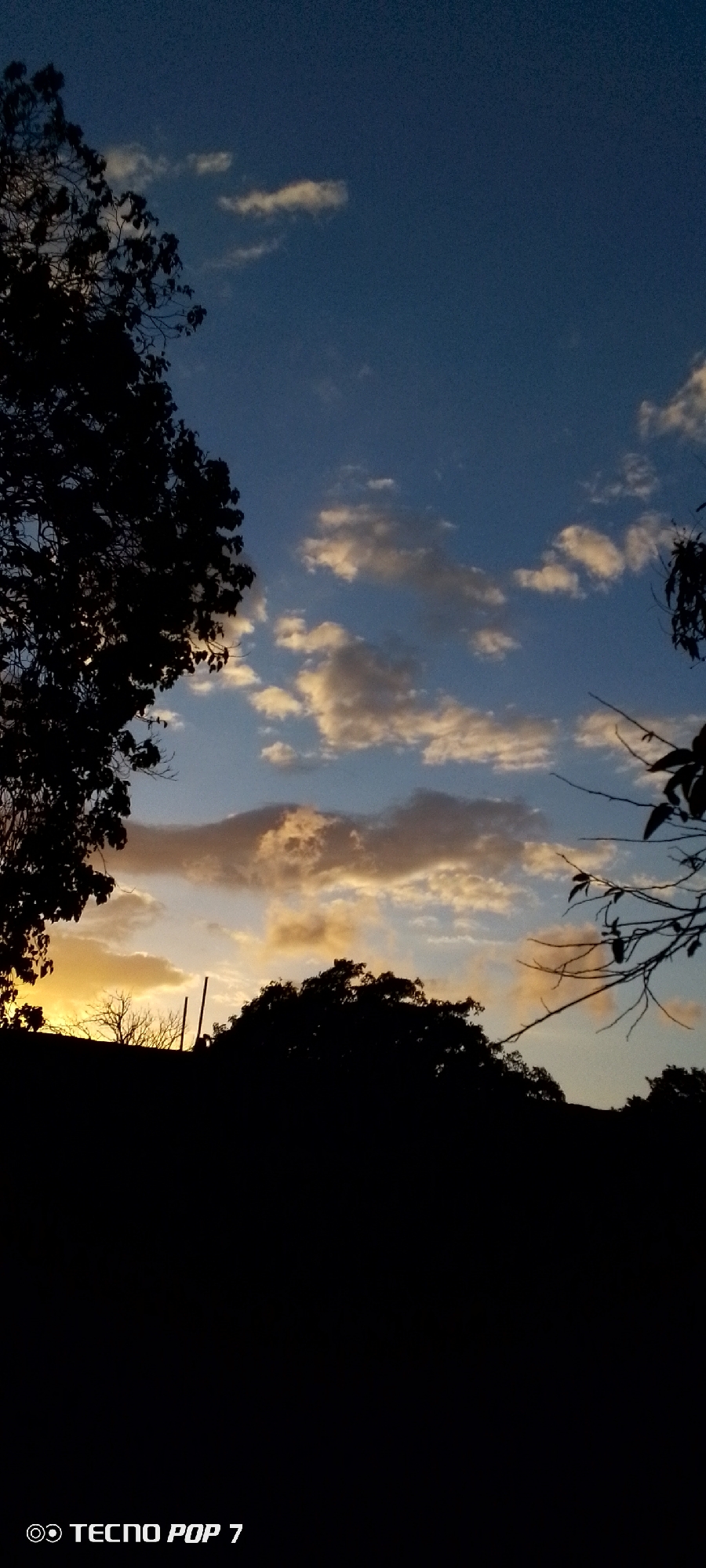The image captures a twilight scene in Altagracia, Venezuela. Silhouetted trees and foliage dominate the foreground. Above, the sky is a mix of blue and orange hues, with scattered clouds. The light suggests the sun is setting or has recently set below the horizon. There are no people visible in the frame. A "TECNO POP 7" label is in the lower left corner of the photo, indicating the device used to capture the image.