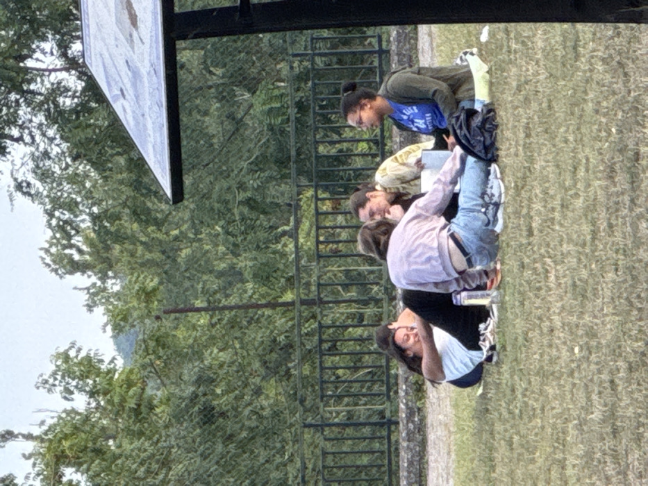 The image displays an outdoor scene in Conflans-Sainte-Honorine, France, featuring five individuals seated on a lawn. The foreground consists of short green grass. Five people are arranged in a semicircular cluster on the grass. The leftmost individual, partially obscured, reclines on their back, wearing a light-colored top and dark trousers, with a visible smile. A second individual is mostly hidden behind the first. In the center, a person in a light pink long-sleeved top and blue jeans sits with their back partially to the camera; a clear plastic water bottle rests on the grass near their left hand. To their right, an individual in a yellow and white patterned shirt is positioned, facing inward, seemingly engaged in conversation. The rightmost person wears a blue t-shirt with '24' visible and a dark green cardigan, also facing inward, with a black bag beside them. All visible individuals have dark hair. Behind the group, a black metal fence spans horizontally, separated from the grass by a narrow concrete border. Beyond the fence, dense green trees extend into the background. A distant, hazy hill is visible above the tree line under a light sky. A slender dark pole rises vertically within the tree line. The upper right corner shows a portion of a dark-framed, angled panel, possibly an informational sign.