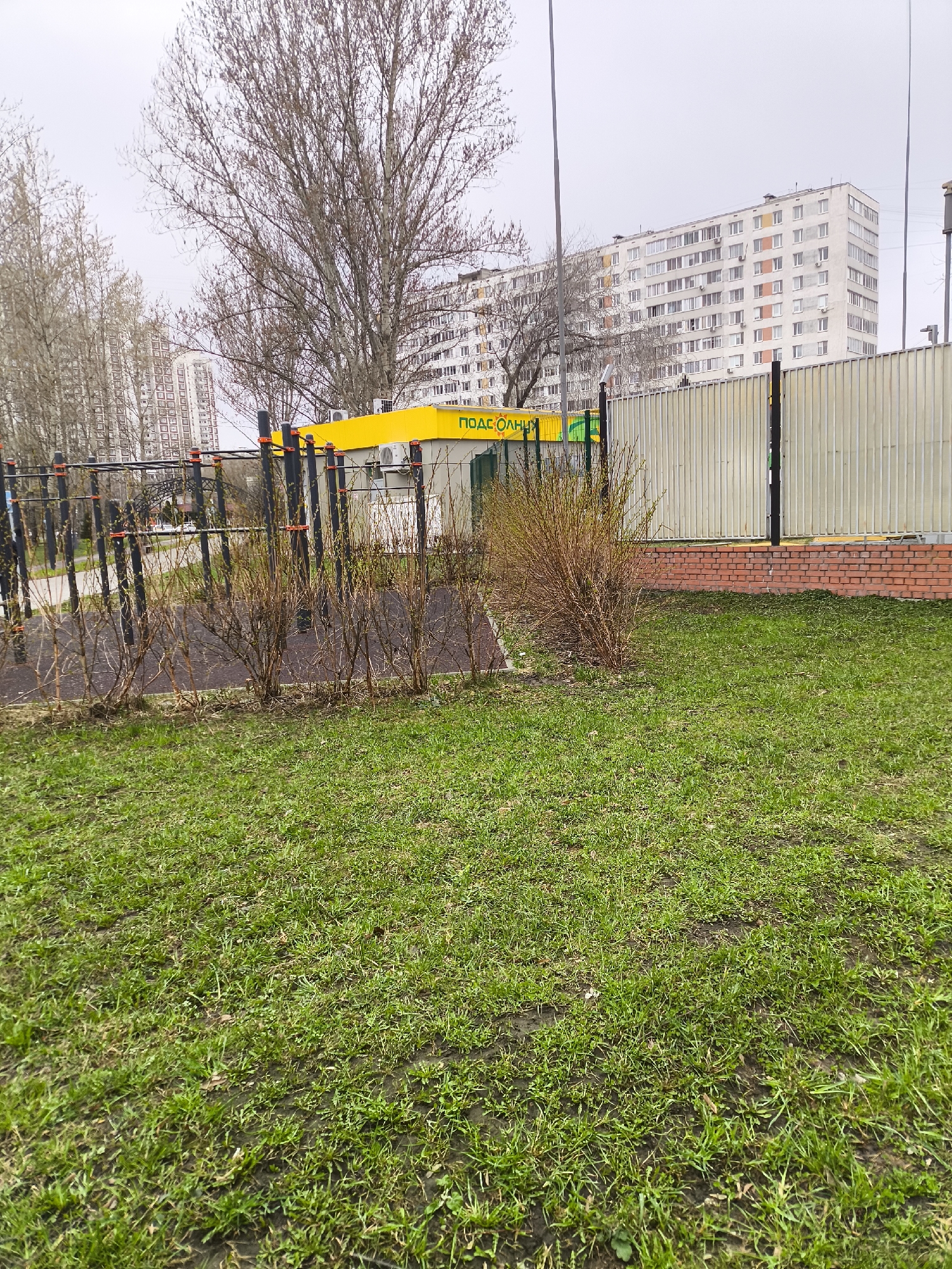 The image depicts an outdoor urban environment, likely in Moscow, Russia, given the Cyrillic lettering on the yellow structure that reads "ПОДСОЛНУХИ" (Podsolnuhi - Sunflowers). In the foreground is a section of patchy green grass. A set of bare bushes separates the grass from an outdoor exercise area with metal bars and equipment. Behind the exercise area is a yellow structure with a green sign. A corrugated metal fence runs along a low brick wall behind the yellow structure. In the background, tall, Soviet-era apartment buildings are visible under an overcast sky. No people are visible in the scene.