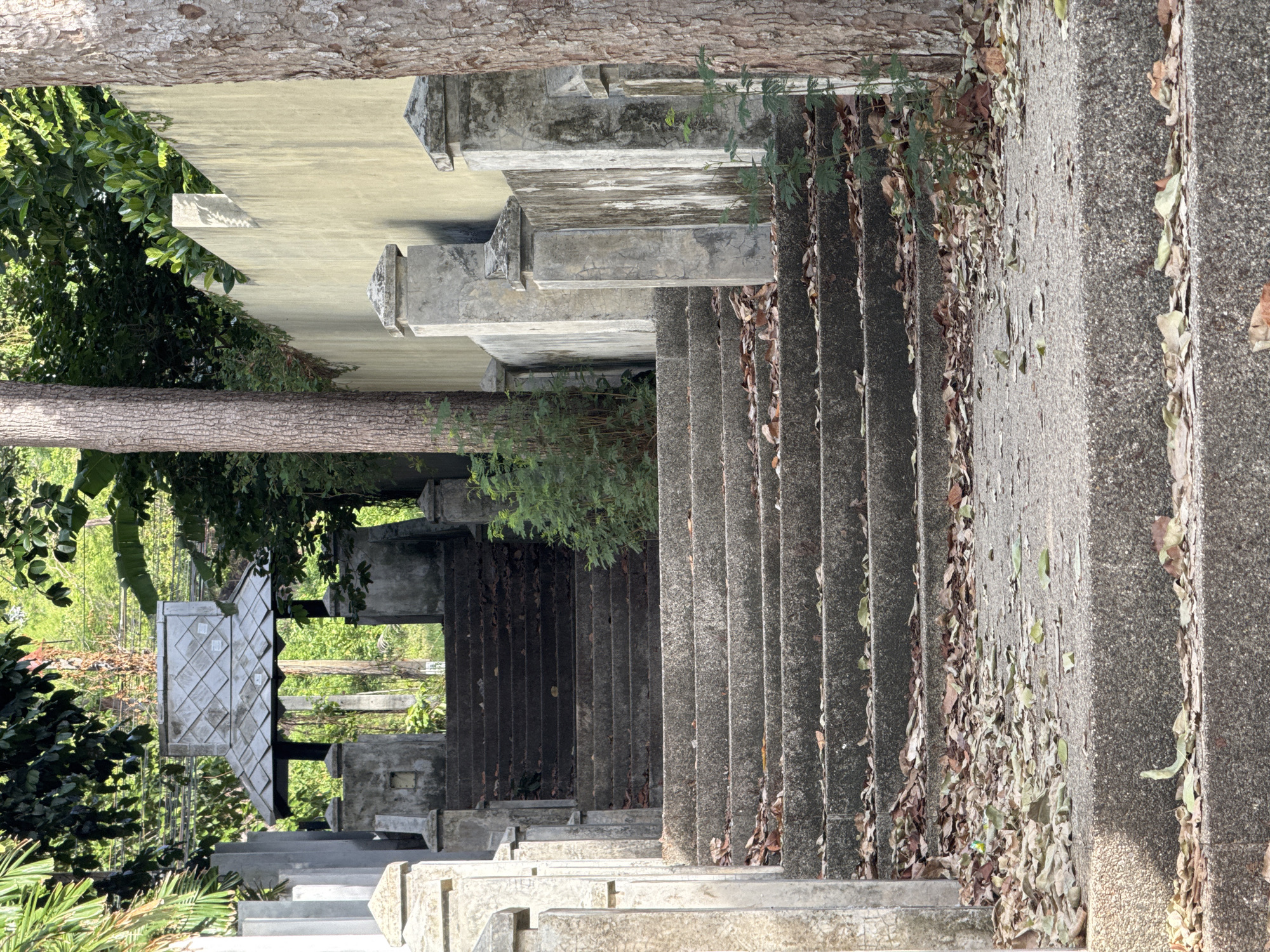An exterior, eye-level, medium shot captures a long, wide, gray concrete staircase leading upwards, flanked by stone pillars and a concrete wall. The stairs are partially covered with fallen, dry brown and green leaves. Trees are visible on either side of the stairs and behind the wall. At the top of the visible stairs, a small, ornate gray structure with a tiled roof is visible, supported by posts. The environment appears to be outdoors in a natural setting, possibly a temple or a historical site in an urban area given the presence of a wall and a structured building. The lighting suggests it is daytime, with shadows indicating sunlight. There are no people visible in the image.