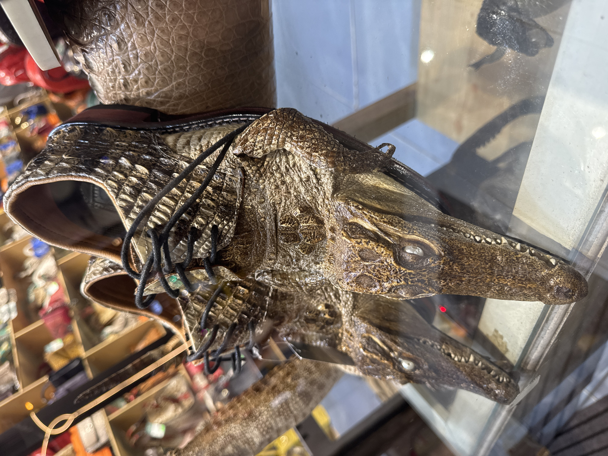 An overhead, high-angle, medium shot shows a pair of shoes made from the head of an alligator sitting on top of a glass display case. The shoes are brown with black shoelaces. The alligator head appears to have the teeth intact. The bottom of the glass case features the alligator’s reflection. In the background, there is a handbag on top of the shoe and a set of small shelves with various items on them. The photo was taken at an Unknown location in Unknown, Unknown.