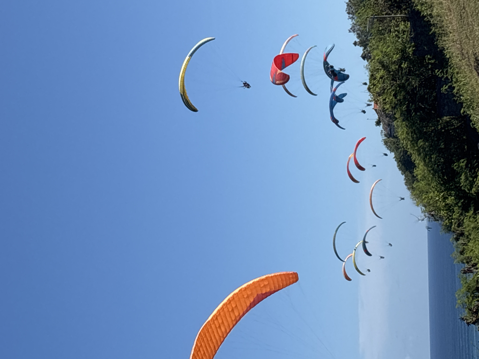 A sunny day in Kuta Selatan, Indonesia, features a blue sky populated with numerous paragliders. A mix of red, orange, yellow, and blue paragliders dot the airspace, each carrying a single pilot. A lush, green, vegetated cliff and a body of water are on the right of the scene.