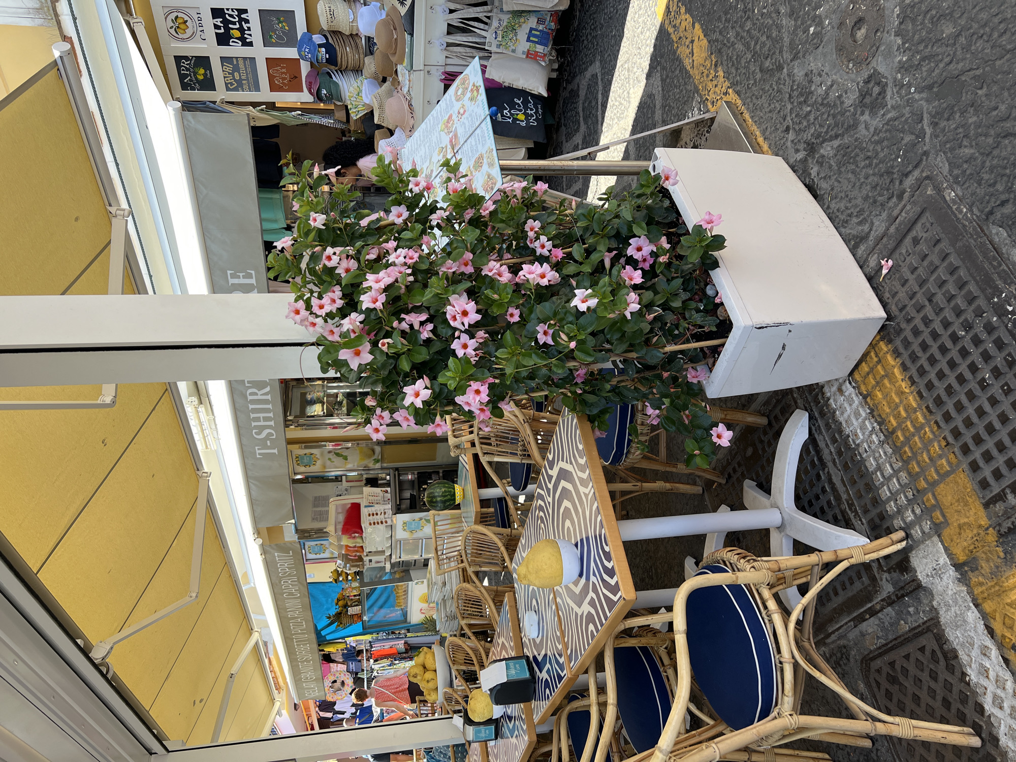 The image depicts an outdoor seating area of a cafe or restaurant on a sunny day. The cafe features tables with mosaic-patterned tops and wicker chairs with blue cushions. A large planter box filled with pink blooming flowers stands prominently in the foreground, adding a touch of color to the scene. In the background, a shop displays T-shirts and hats, with various signs indicating services such as "Gelati," "Granite," "Pizza," and "Panini," as well as references to "Capri" and "La Dolce Vita," suggesting the location is likely in the city of Capri, Italy. The ground is paved with stone and has yellow and white painted lines, indicating a pedestrian area or street. The overall atmosphere suggests a vibrant and inviting establishment in a tourist destination.