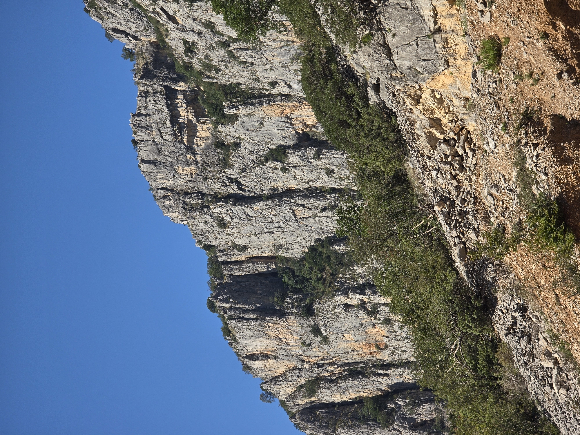 A steep, rocky cliff face dominates the frame under a clear blue sky. The cliff is a mix of grey rock with streaks of orange and yellow. Sparse green vegetation clings to ledges and crevices on the cliff face. The base of the cliff transitions into a steep, rocky slope covered in loose stones and low-lying shrubs. This scene is consistent with the natural geological formations found in the Skadar Lake National Park, near Podgorica, Montenegro. No people or artificial structures are visible in the image.