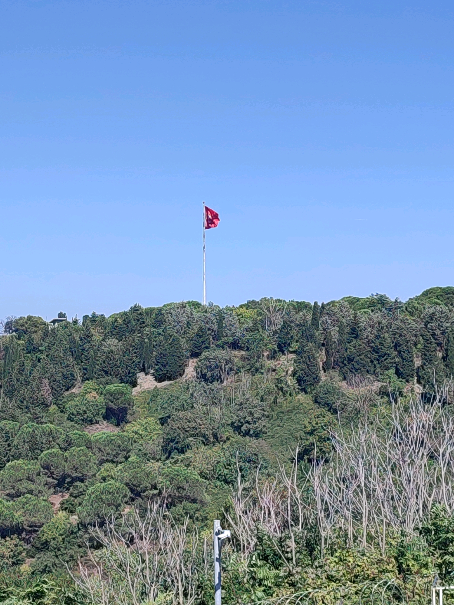 This is a photograph taken from a distance showing a densely forested hillside in Üsküdar, Turkey. At the peak of the hill, a tall flagpole stands, flying a red flag with a white crescent moon and star. The flag is prominently displayed against a clear blue sky. The hillside itself is covered with a variety of trees, with the foliage appearing lush and green. In the foreground, there are bare, thorny branches and some green leaves. A white pole with a security camera is also visible in the lower right corner. The overall scene suggests a natural landscape within an urban setting, possibly a park or a wooded area on the outskirts of the city.