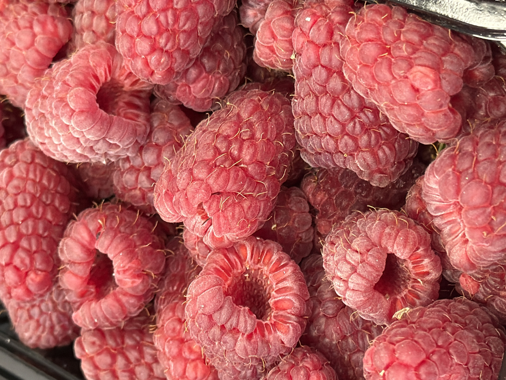 The image is a close-up, high-angle shot of a pile of fresh, ripe raspberries. The berries are a vibrant pinkish-red color and appear plump and juicy, with visible drupelets forming their characteristic bumpy texture. Some of the raspberries are whole, while others are slightly compressed, revealing their hollow core. The lighting is even, highlighting the fine hairs on the surface of the fruit. The background is dark and slightly blurred, suggesting the raspberries are in a container, possibly a market stall or a grocery store display. There is no indication of the city of Saint Petersburg, Russia, or any people or actions within the frame.