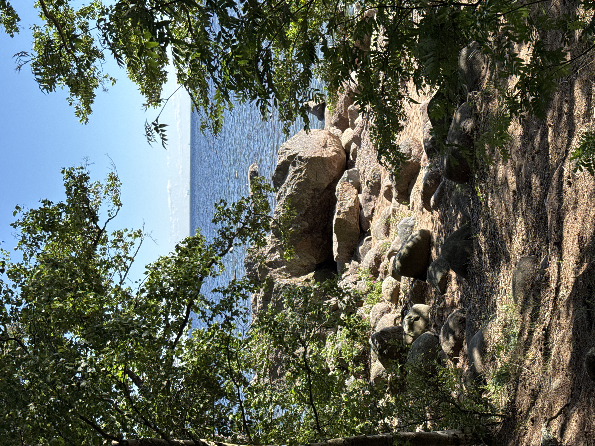 The image shows a view of the sea through trees and rocks on a sunny day. The foreground is covered with dry pine needles and scattered rocks, with sparse green vegetation growing between them. Sunlight filters through the leaves, creating dappled shadows on the ground. In the mid-ground, a sandy area is visible, populated by numerous large, rounded rocks and boulders. Beyond the rocks, the blue water of the sea stretches to the horizon, meeting a clear blue sky. A faint line of distant structures or landmasses is visible on the horizon. The scene is situated in Zelenaya Roshcha, Russia, likely a coastal area. There are no people or animals visible in the image.