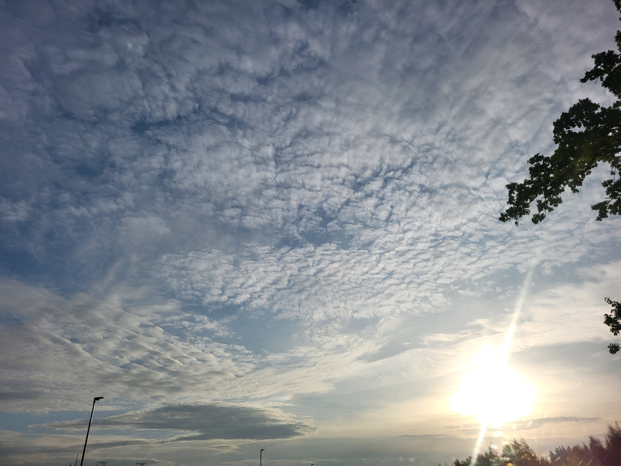 The image captures a wide-angle view of the sky over Āne, Latvia, at a time of day when the sun is low on the horizon, casting bright rays. The sky is filled with scattered, wispy clouds, some appearing textured and rippled, against a backdrop of pale blue. In the foreground, silhouetted against the bright sky, are the tops of trees, including a prominent cluster of dark green foliage on the right side of the frame. There are also what appear to be streetlights or utility poles visible as dark vertical lines in the lower portions of the image, suggesting an urban or semi-urban environment. The overall impression is of an open sky with natural and man-made elements under a bright, diffused light.