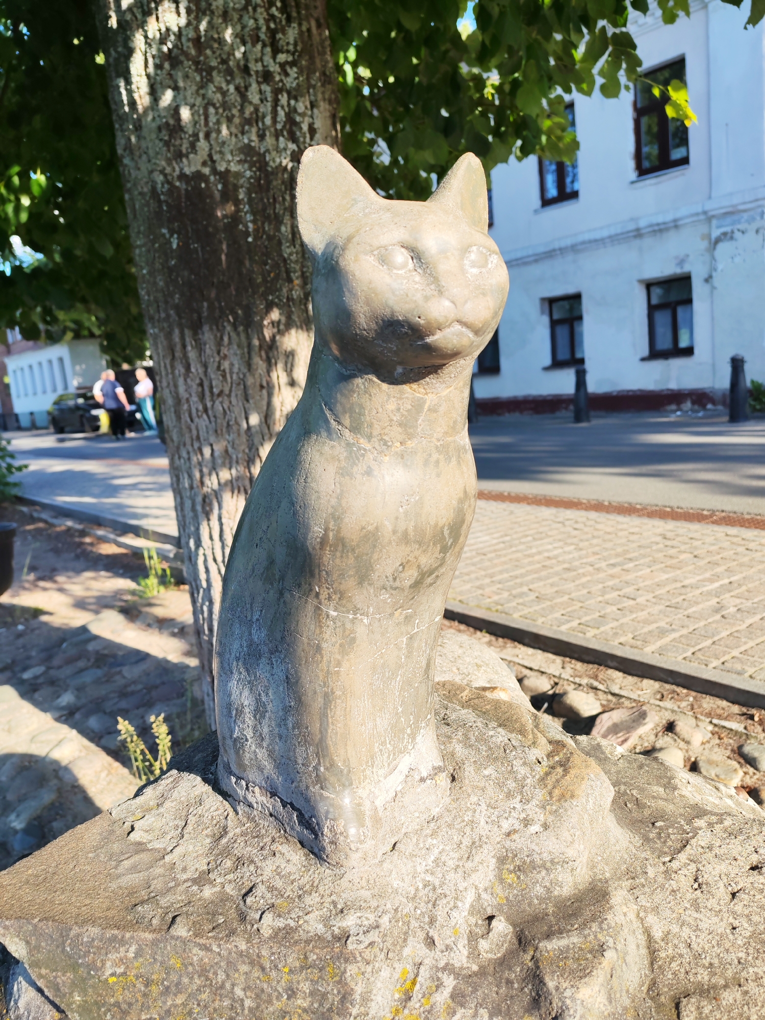 The image shows a stone sculpture of a cat seated on a rock. The sculpture is light gray and appears weathered. The cat is depicted in a sitting posture with its head slightly turned to the right and its ears perked up. The background features a tree with textured bark to the left of the sculpture, its leaves casting dappled shadows. Behind the tree and sculpture, a white building with dark-framed windows is visible. The ground in front of the building is paved with light-colored bricks, and a street runs along it. In the distance, a few people and a car are present, suggesting an urban or semi-urban environment. The lighting indicates it is daytime, with the sun casting strong shadows, suggesting a sunny day. The scene evokes a sense of peacefulness and perhaps a touch of whimsy due to the presence of the cat sculpture. There is no visible text in the image. The location context provided is Plyos, Russia.