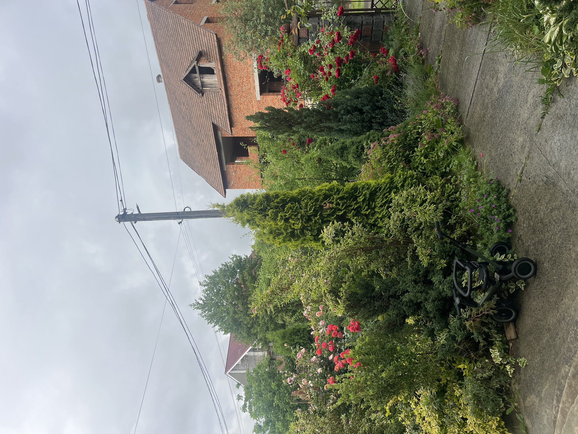 This is a daytime, eye-level, outdoor photograph of a residential area in Onokivtsi, Ukraine. The scene depicts a yard with a pathway and a partially constructed brick house. The yard is densely planted with various shrubs and rose bushes in bloom, displaying red and pink flowers. Several evergreen trees, including conical varieties, are also present. In the foreground, a dark-colored child's tricycle is positioned on the pathway. A dark-colored wooden pole with electrical wires runs vertically through the upper portion of the frame. The sky is overcast and grey. The pathway appears to be made of concrete slabs.