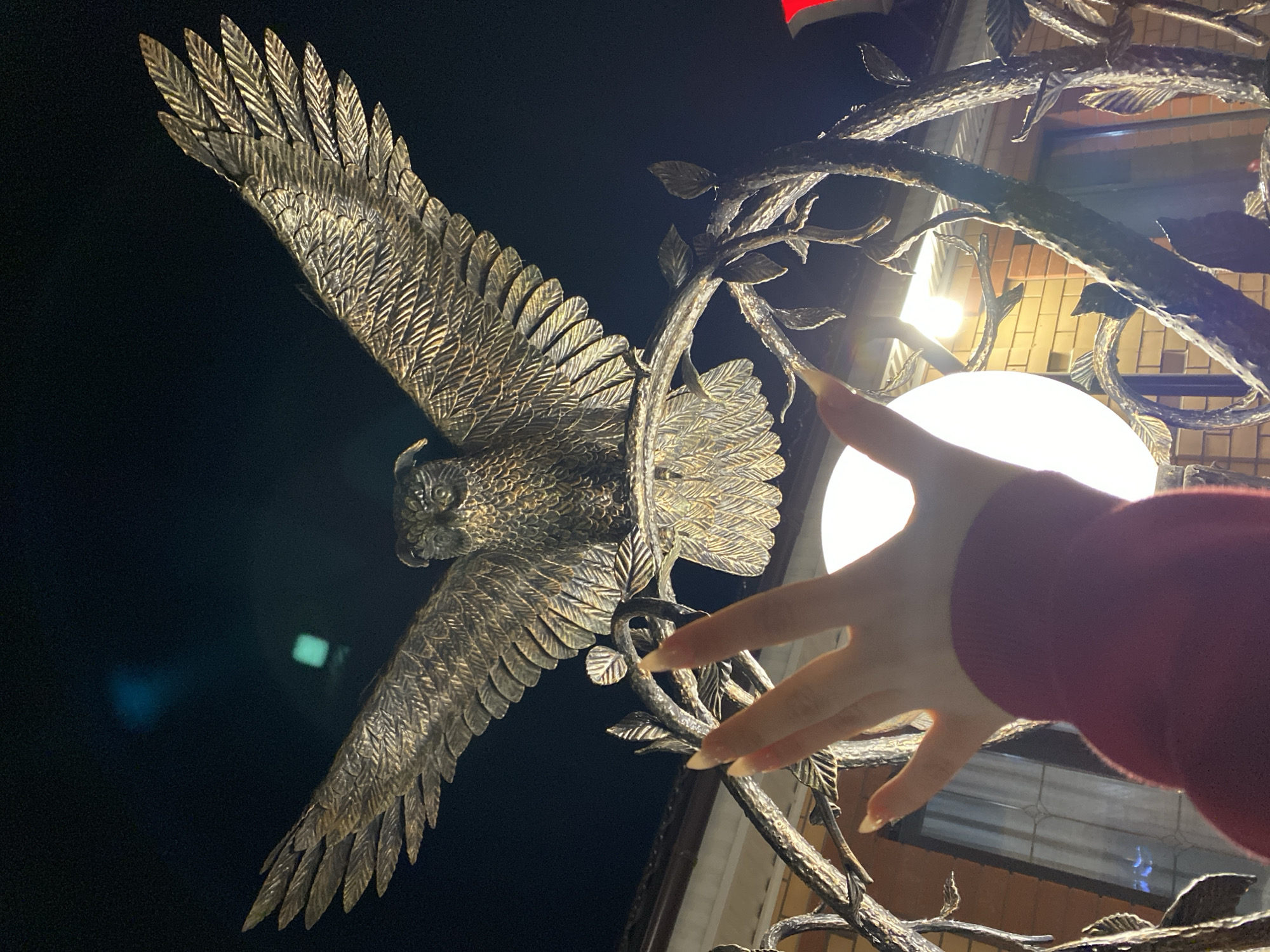 A close-up, eye-level, outdoor, night photograph shows a person's hand in the foreground, reaching towards a large, ornate, metallic sculpture of an owl with its wings spread wide. The owl sculpture appears to be mounted on a decorative, wrought-iron structure resembling branches and leaves. Behind the owl, a large, round, glowing light fixture is visible, casting a bright light that illuminates parts of the sculpture and the surrounding dark environment. The background consists of a brick building with windows, and a dark, night sky. The location is specified as Sergeevka, Russia.