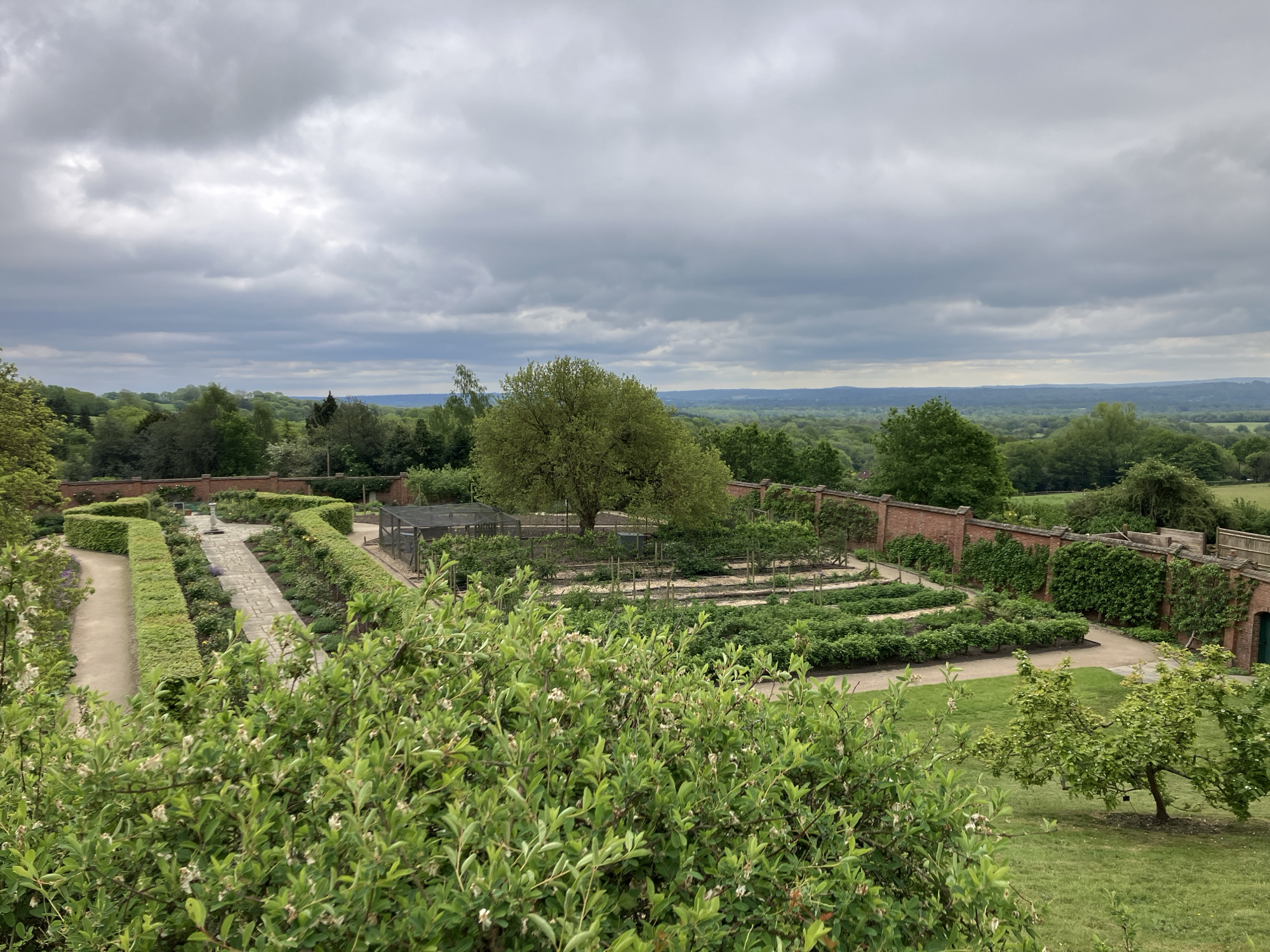 The image depicts a formal garden in Sevenoaks, United Kingdom, under a cloudy sky. The garden features symmetrical layouts with stone pathways, hedges, and manicured plants. A large tree stands centrally within the garden, surrounded by rows of cultivated plants. A brick wall encloses part of the garden area, with climbing plants covering some sections. Beyond the garden, a view of a green, wooded landscape extends into the distance. No people are visible in the scene.