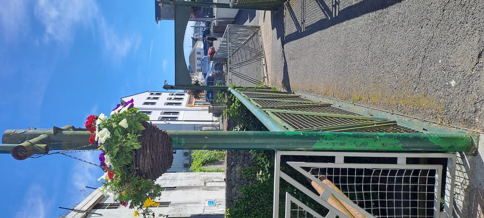 The image shows a street scene in Castlebar, Ireland, on a sunny day. The foreground features a large green metal pole with a hanging basket of colorful flowers, including red, white, and purple petunias. Behind the pole, a green metal fence or railing runs along the side of a paved area.
In the middle ground, a white building with multiple windows stands to the left. Across the street, several cars are parked, including a dark blue van and a red car. Another building with a yellow awning is visible behind the cars. Green foliage is growing on the side of some of the buildings and along the fence.
The background shows more buildings and a clear blue sky with some wispy white clouds. The overall impression is a bright, cheerful day in a town. The image is taken from a slightly elevated perspective, looking down and across the street. There are no people prominently featured in the image, but there appear to be a few figures in the distance near the parked cars. The scene is static, with no specific activity taking place beyond the general presence of vehicles and buildings. The time of day is likely daytime, given the bright sunlight and shadows cast.