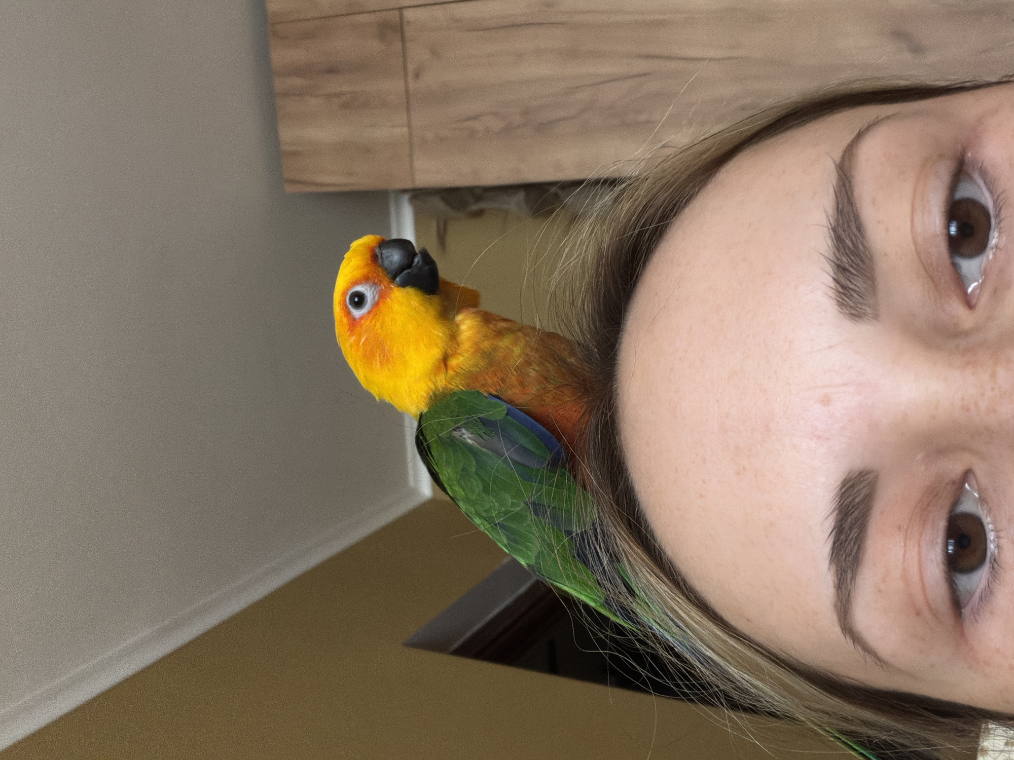 A close-up shot, rotated counter-clockwise, features a woman and a sun conure parrot. The woman's forehead, eyes, and eyebrows are visible. The parrot is perched on the woman's shoulder/head, displaying bright yellow plumage on its head and upper body, transitioning to green on its wings and tail feathers. The background consists of a plain wall with a wooden cabinet or shelf visible in the upper portion of the image. The scene does not suggest any location in the city of Khimki, Russia.