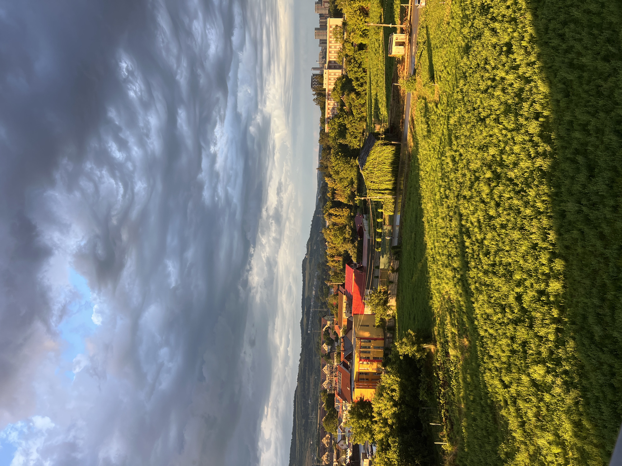 An aerial, full shot captures a panoramic view of a suburban area in Florești, Romania, under a dramatic, cloud-filled sky. The sun, low in the sky, casts long shadows and bathes the scene in a warm, golden light, particularly on the foreground's lush green field. This field, densely populated with short, vibrant green vegetation, occupies the lower half of the image, its texture appearing soft and somewhat blurred due to the lighting and angle.
Beyond the field, a scattering of buildings with red and yellow roofs, characteristic of residential architecture, dot the landscape. These buildings are interspersed with numerous green trees. A cluster of trees with thick foliage, some appearing vine-covered, are visible in the mid-ground. Further in the background, a large, light-colored building with multiple floors stands out, alongside other taller, more modern apartment or office buildings. A gently sloping, tree-covered hill forms the horizon line, adding depth to the scene.
The sky is dominated by heavy, dark clouds, with breaks of lighter blue and white clouds visible, suggesting a transition in weather. The overall atmosphere is serene, with the interplay of light and shadow creating a sense of depth and mood. No people or vehicles are readily apparent in the scene. The image composition provides a broad perspective of the urban fringe, highlighting the contrast between natural greenery and man-made structures.
