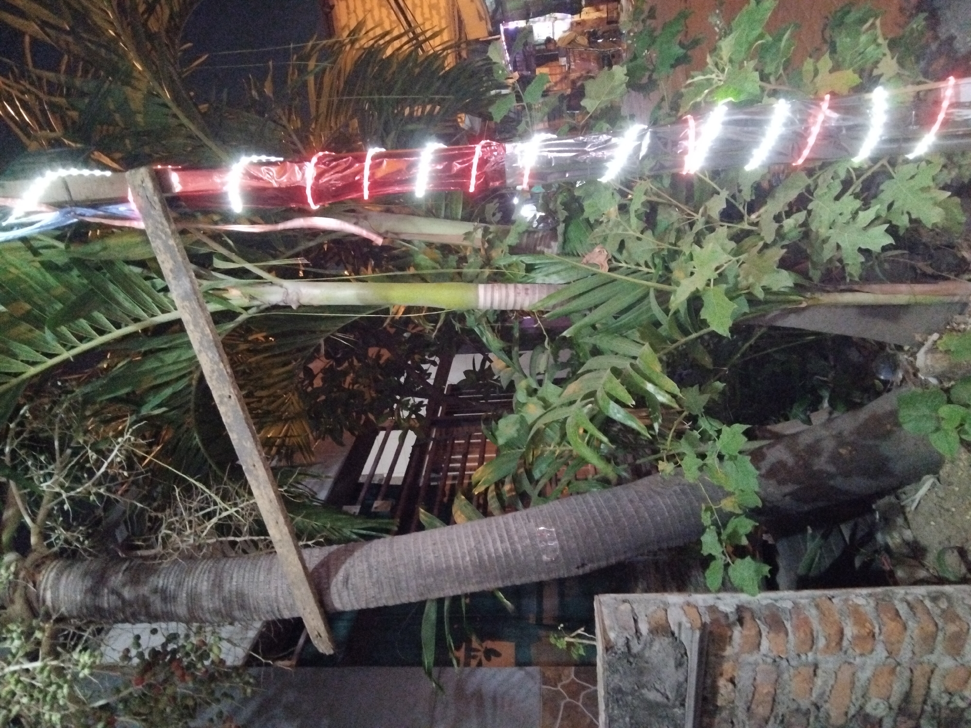 In Kepuh Kiriman, Indonesia, a large palm tree trunk stands prominently in the foreground, its rough bark textured and gray. A rough wooden beam is propped horizontally against the trunk, its purpose unclear. To the right of this palm, another thinner, lighter-colored tree trunk is visible, wrapped in red and white string lights that spiral down its length, illuminated in the dark. Lush green foliage, including palm fronds and other broad leaves, fills the midground and obscures the background. Behind the foliage, a building with horizontal slatted windows is partially visible. To the far right, a figure is dimly seen standing near what appears to be a stall or structure, with more lights visible in the distance, suggesting a street or market scene. The overall lighting suggests it is nighttime.