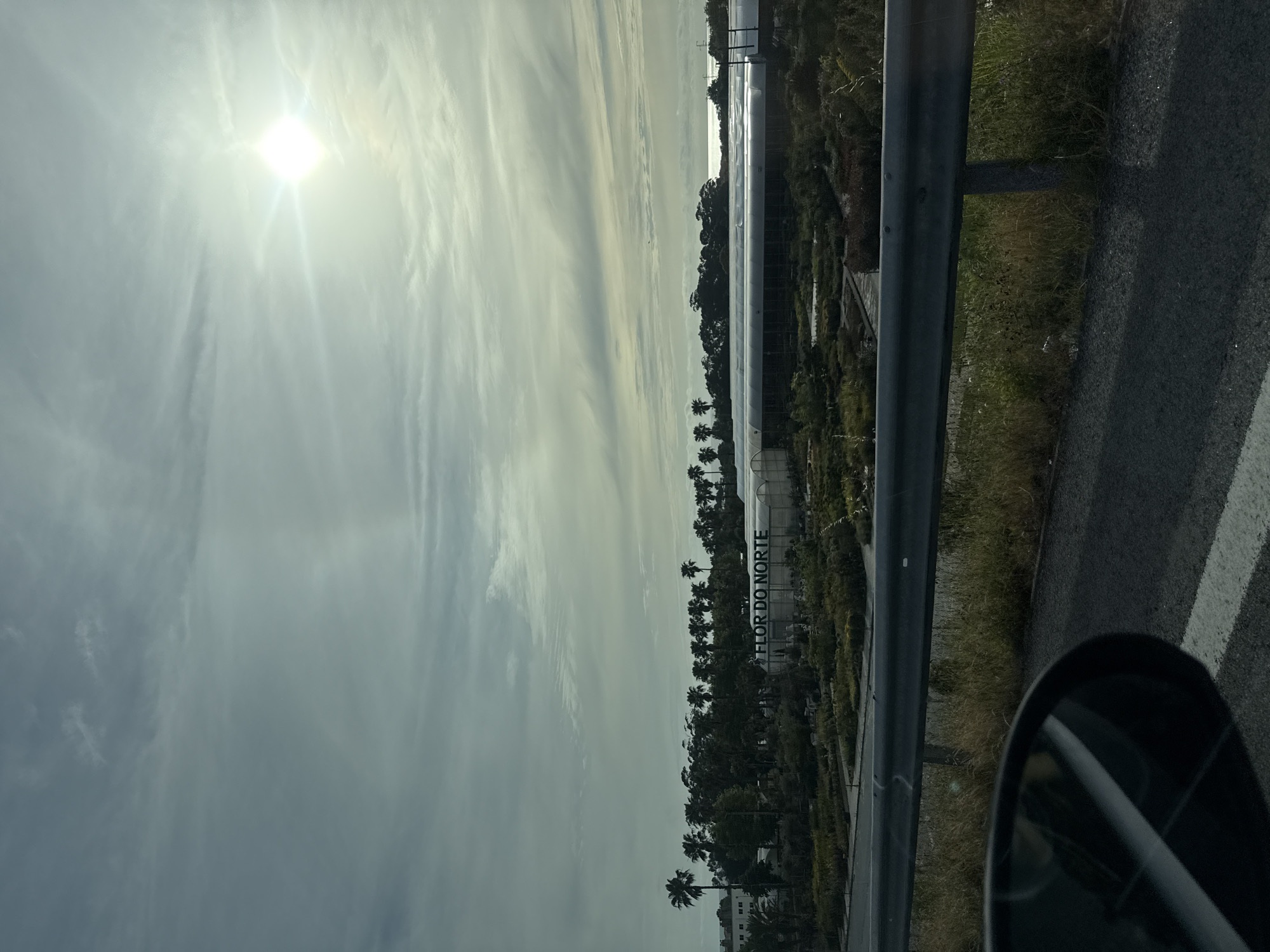 The photograph, taken from inside a vehicle on a road in Vila Nova de Gaia, Portugal, depicts a bright, cloud-streaked sky with the sun shining intensely. To the right, a metal guardrail separates the road from a commercial plant nursery, identifiable by a sign reading "Flor do Norte" in Portuguese. The nursery features rows of plants and greenhouses. The road surface and a side mirror of the vehicle are visible in the lower right corner. Palm trees line the edge of the nursery. Buildings are seen in the distance, next to the nursery.