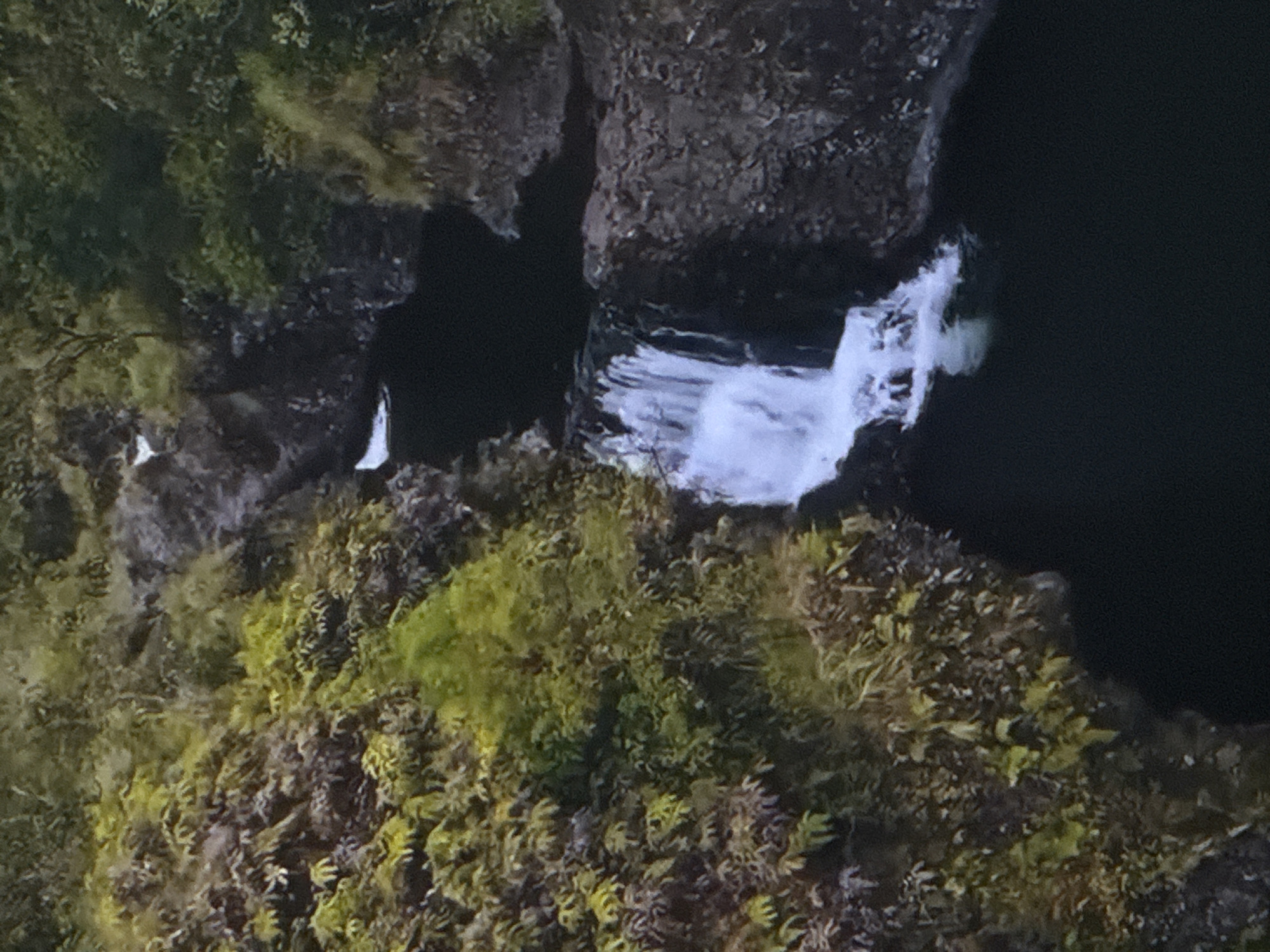 The image shows a waterfall cascading into a dark body of water. Lush green vegetation covers the surrounding rocky cliffs. The scene appears to be a natural landscape, possibly a remote area or a park. There is no indication of the location being in the city of Sinyavino, Russia, or any urban environment. The image focuses solely on the natural elements of the waterfall and its surroundings.