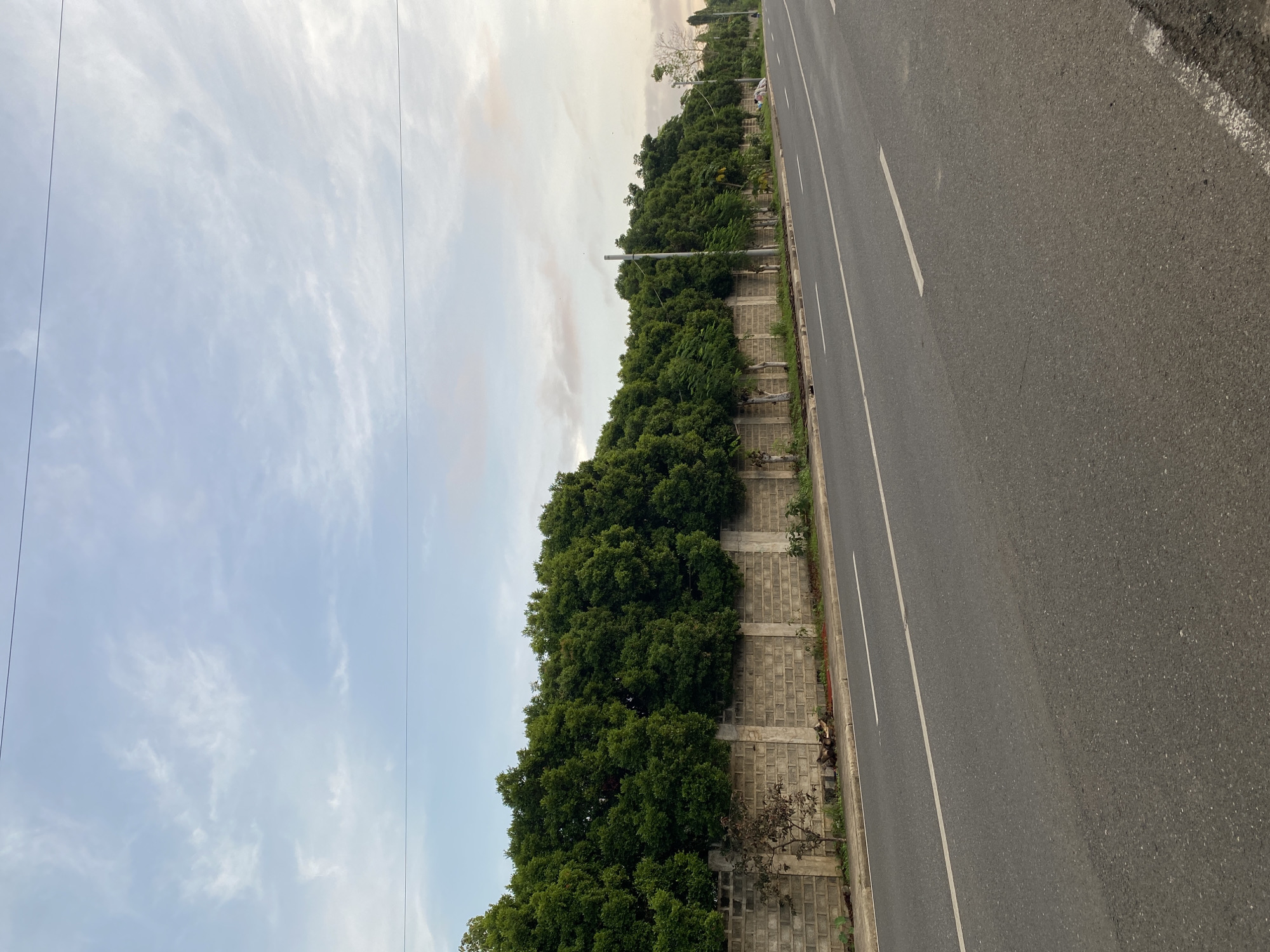 The image depicts a paved road in Davao City, Philippines, likely a suburban or rural area, characterized by a low concrete wall topped with lush, dense green trees. The road surface is asphalt with white lane markings, suggesting it's a public thoroughfare. The wall appears to be constructed from cinder blocks and concrete posts. To the left of the road, the wall and trees dominate the landscape, creating a natural barrier. The sky above is partly cloudy with a soft, diffused light, indicating it might be early morning or late afternoon. There are a few scattered power lines or telephone wires visible against the sky. The overall scene is quiet and appears to be devoid of significant human activity in the immediate foreground. The trees form a continuous line, suggesting a well-maintained boundary for a property or development. In the distance, the road continues, and a few indistinct figures or objects are visible, including what might be trash bags or debris near the roadside, and possibly a distant person or two walking or standing.
