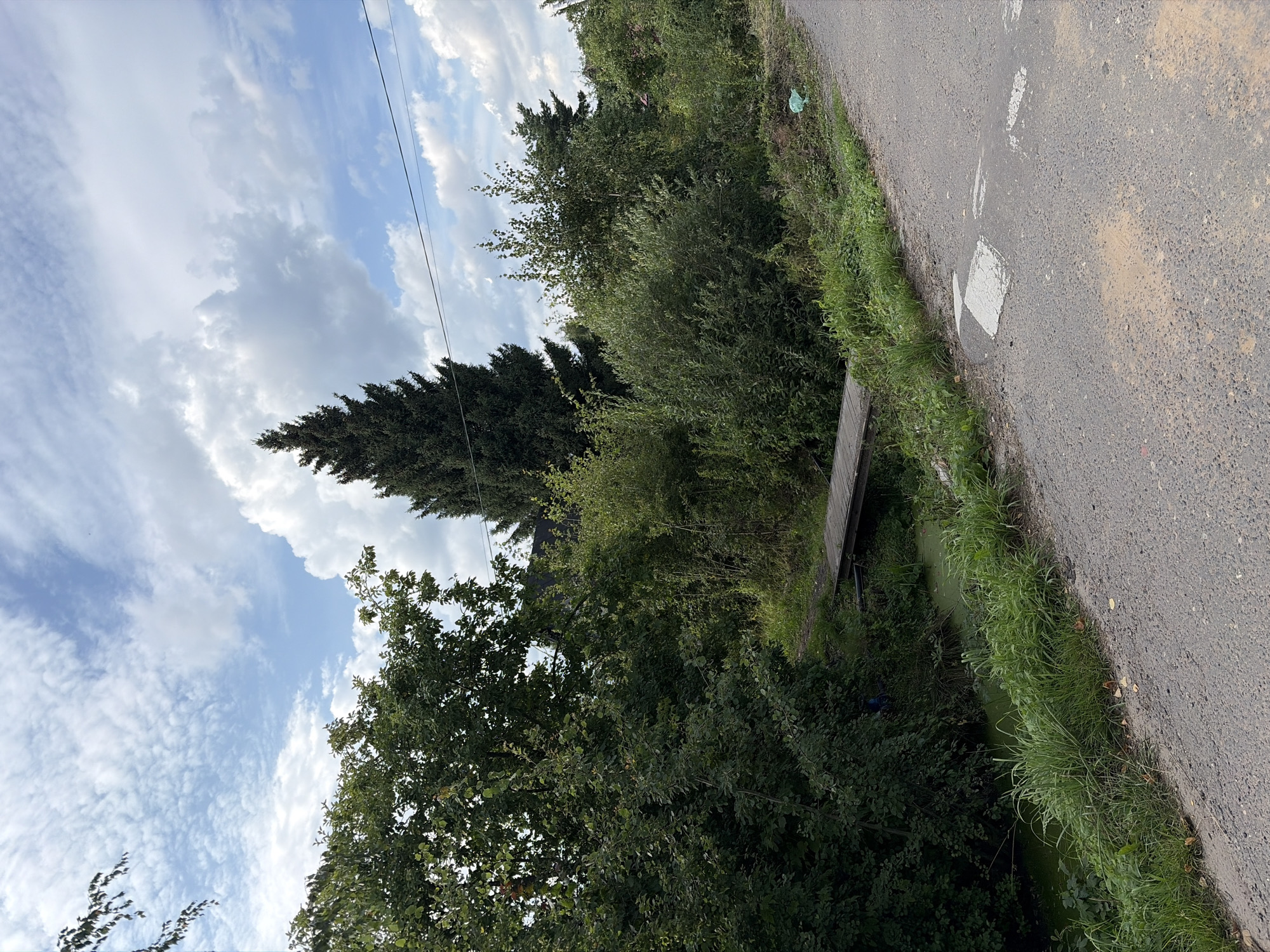 The image depicts a rural scene in the city of Электротехник Снт, Russia, with a focus on a narrow body of water crossed by a simple wooden footbridge. A paved road occupies the foreground, with white road markings visible, including what appears to be a speed bump. Dense green foliage, including trees and bushes, lines the left and right sides of the scene. A tall evergreen tree stands prominently in the background. The sky is partly cloudy, with a mix of white and gray clouds against a blue sky. A green plastic bag is discarded on the grassy embankment to the right of the road. The water appears to be partially covered with green algae or plant matter. There are no people or animals visible in the image.