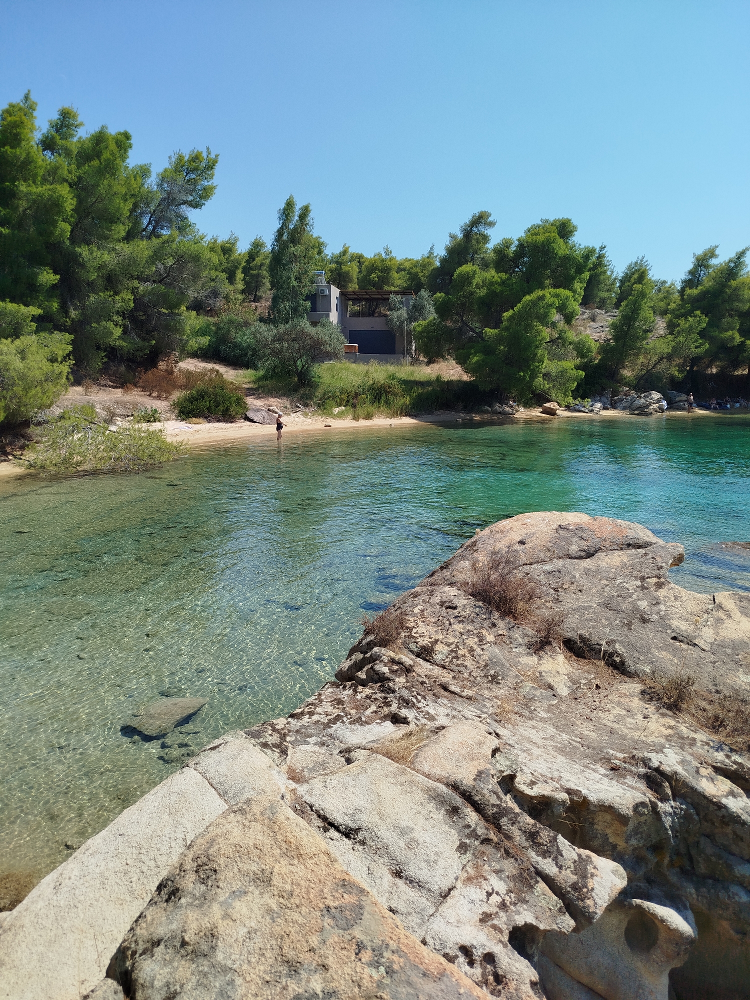 This is a landscape photograph taken at a beach in Sithonia Municipal Unit, Greece. The foreground features large, textured rock formations in shades of grey and brown, with sparse dry vegetation growing between them. In the middle ground, the crystal-clear turquoise water laps at a sandy beach, with several smooth, submerged rocks visible beneath the surface. A lone person, seen from the back, stands in the shallow water near the shore. The background is dominated by a dense line of evergreen trees and shrubs, with a modern building partially visible amongst the foliage. The sky is a clear, bright blue.