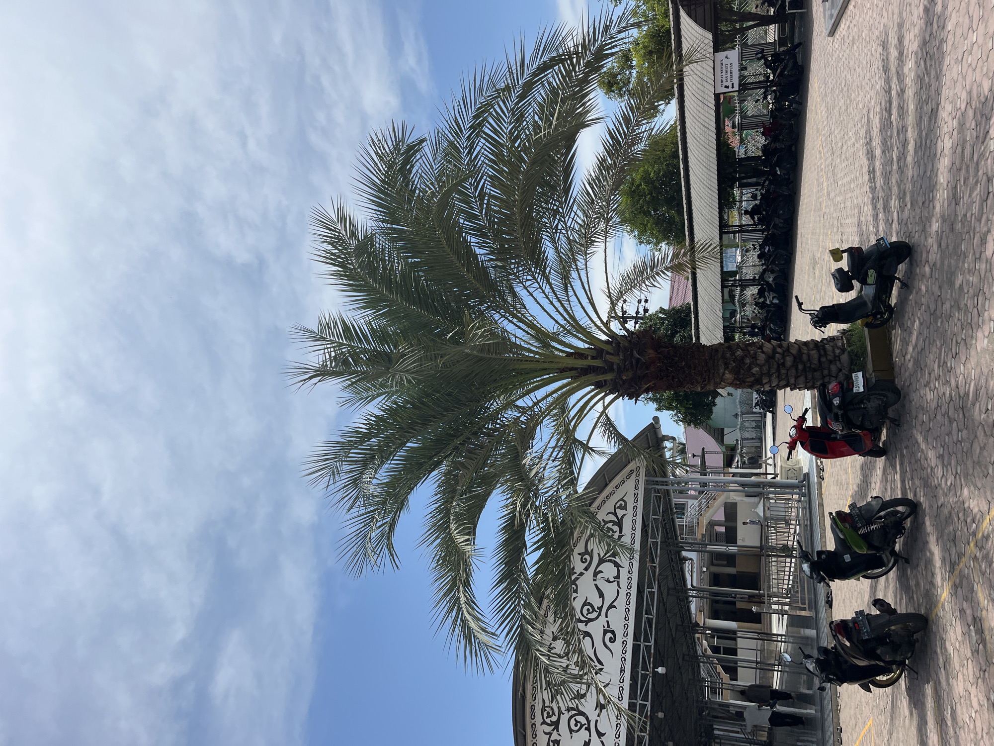 A palm tree stands prominently in the foreground against a blue sky with scattered clouds. Behind the tree is a building with white and black decorative patterns. Adjacent to the tree and building, several parked motorbikes occupy a paved area. Further back, under a shaded area, are more motorbikes. The scene is likely a parking area near a building in the city of Keudekruenggeukueh, Indonesia. No people are clearly visible. The lighting suggests it is daytime.
