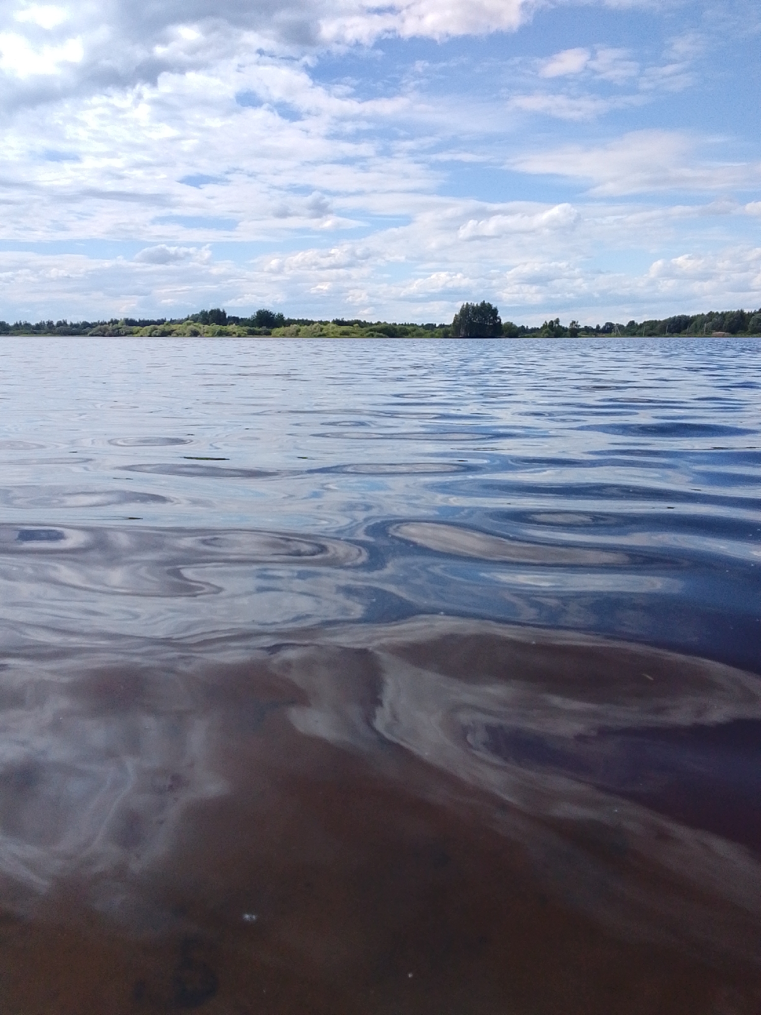 The image displays a wide expanse of water, likely a lake or river, under a partly cloudy sky. The foreground of the water is darker, with swirling patterns of lighter foam or sediment, suggesting movement or a change in water composition. Further out, the water reflects the sky, appearing a lighter blue with ripples creating a textured surface.
In the distance, a treeline forms the horizon, dotted with green foliage and some scattered trees. The sky is a mix of bright blue and white, with fluffy clouds scattered across it. The light suggests it is daytime, with the sun likely overhead or slightly to the side, casting gentle reflections on the water. There are no people or man-made objects visible in the scene, creating a sense of natural tranquility. The overall mood is serene and peaceful, emphasizing the natural beauty of the landscape. No text is visible in the image.