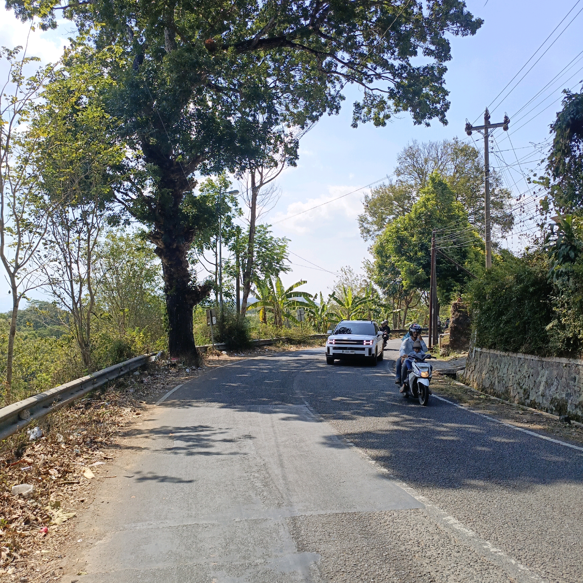 This is a medium-shot, eye-level photograph taken on a sunny day, likely on a rural road in Salatiga, Indonesia, given the vegetation and road conditions. The road curves to the right and slopes slightly downhill. The foreground shows the asphalt road with some lighter-colored patches, likely repairs or faded markings. To the left, a metal guardrail runs along the edge of the road, bordered by dry leaves, debris, and sparse vegetation. A large tree with dense green foliage dominates the upper left quadrant of the image, its branches extending over the road.
Further down the road, a white SUV is visible, its headlights on. To the right of the SUV, a white scooter with two riders is traveling in the same direction. The rider in front is wearing a blue shirt and a helmet, and the passenger behind is wearing a light blue shirt and also a helmet. The scooter has a license plate that reads "H 4546 BCP".
The background features lush green trees and vegetation, including banana trees, consistent with a tropical or subtropical environment. A utility pole with multiple wires is present on the right side of the road, contributing to the rural atmosphere. A stone wall is visible along the right side of the road behind the scooter. The sky is clear and blue with scattered white clouds. The overall scene depicts a typical road in a scenic, possibly hilly, area.
