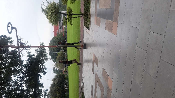 Memory