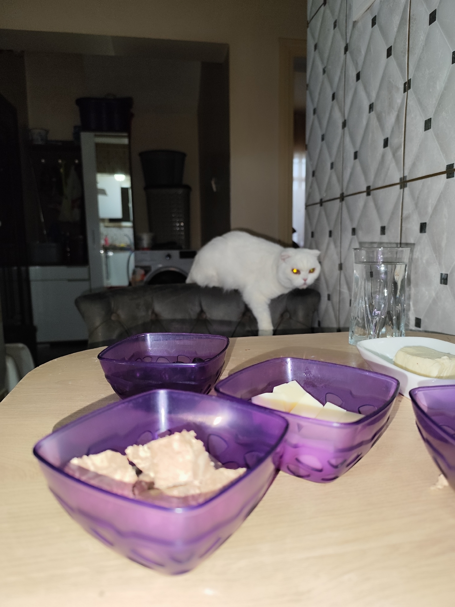 A close-up shot taken indoors shows a table with purple bowls filled with food, likely cheese and meat, and a glass of water. Behind the table, on a gray sofa, sits a white cat with yellow eyes. The background shows a glimpse of a kitchen with a washing machine. The photo appears to have been taken in a residential setting, potentially in Sarıyer, Turkey.