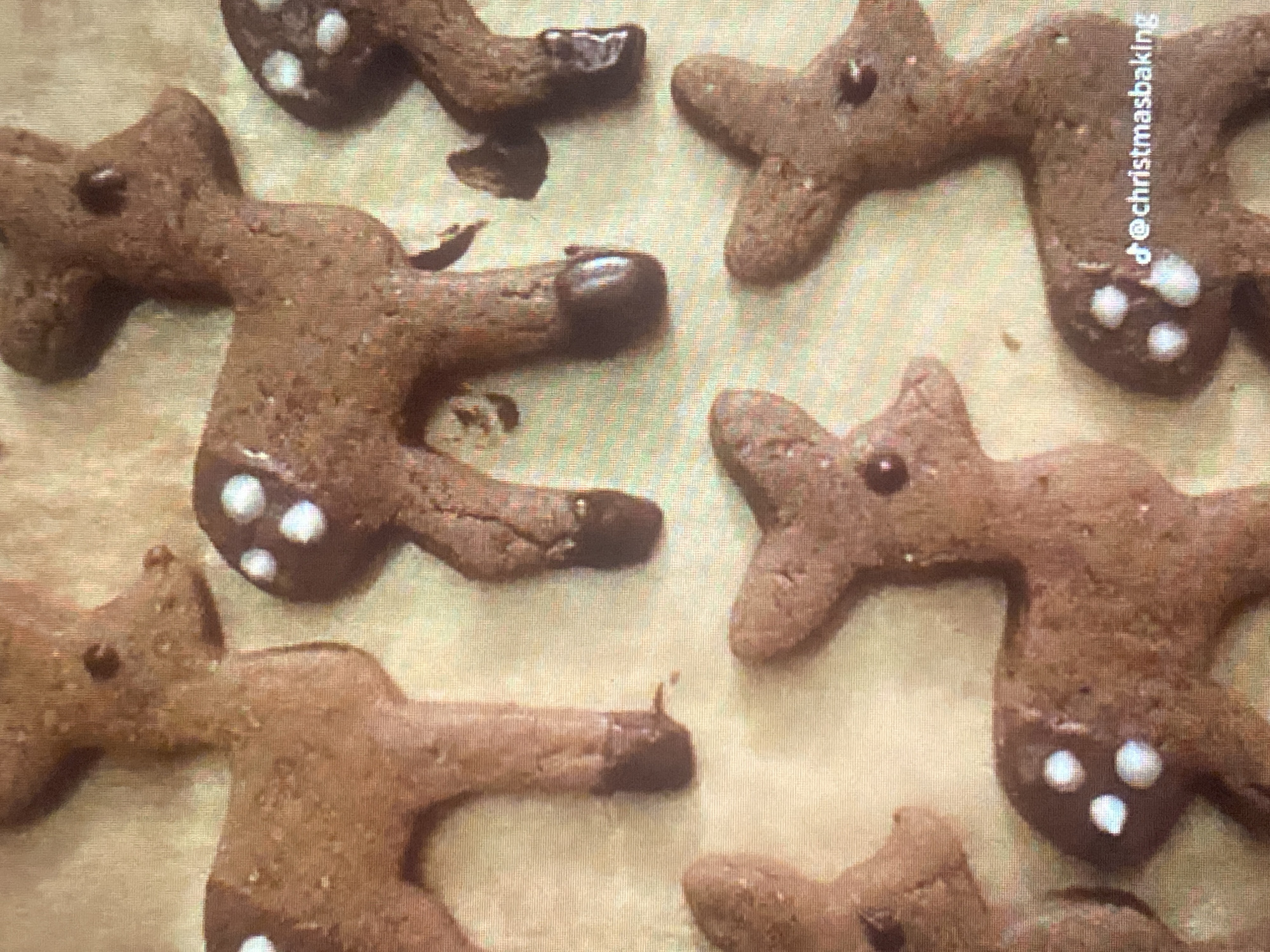 The image displays a collection of deer-shaped cookies on a light-colored, textured surface, possibly parchment paper. The cookies are made from a brown, speckled dough and are decorated with white dots, resembling spots or decorations on their bodies. Some of the cookies have dark brown, glossy accents on their hooves, suggesting they have been dipped in chocolate. The cookies are arranged in multiple rows, with some overlapping. In the lower right portion of the image, a watermark reads "@christmasbaking". There is no visible indication of the city of Rybnitsa, Moldova in the image.
