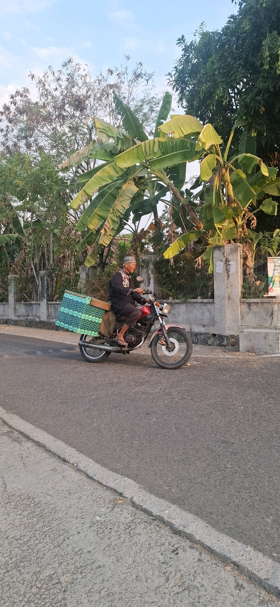 A man is riding a motorcycle with a large load of green and blue plastic crates on the back. He is wearing a black outfit and a head covering. The motorcycle is red. He is on a paved road with a concrete curb. The background features lush green trees, including banana trees, and a clear blue sky. The scene appears to be in a rural area of Desa Sindon, Indonesia.