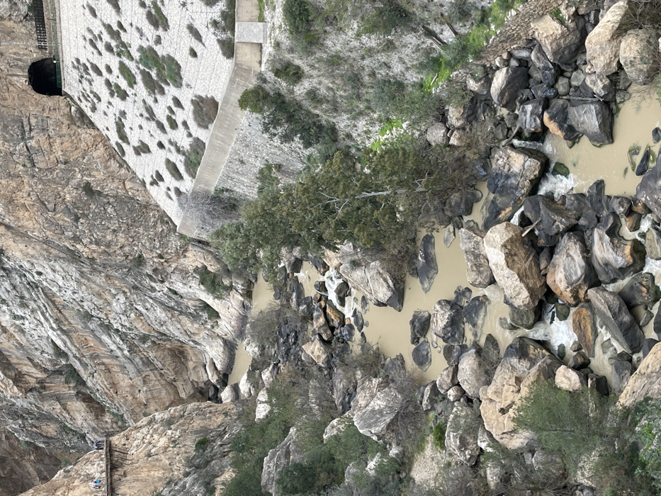 This high-angle image captures a dramatic section of a deep, rocky gorge, characteristic of the El Chorro area in Spain. A light brown, sediment-laden river winds through the bottom, its flow interrupted by numerous large, dark boulders that create turbulent white foamy patches.
On the left side of the frame, a steep, stratified rock face rises, showcasing its geological layers. A narrow wooden walkway, typical of a high-altitude trail, is visible clinging to this sheer cliff, with a few small human figures traversing it, indicating hikers or visitors.
Towards the upper right, a substantial, light-colored concrete or stone structure, possibly part of a dam or water aqueduct, stretches across a wider section of the gorge. A dark, circular tunnel entrance is prominent at its far end. The terrain around this structure is sparsely vegetated with patches of green on a lighter, rocky surface.
Scattered green trees and bushes cling to the less vertical sections of the gorge walls and along the riverbanks. The lighting is diffused and even, suggesting an overcast day or soft daylight conditions. No specific emotions are discernible, and no visible text appears in the image. The scene presents a rugged natural landscape intertwined with significant human engineering.