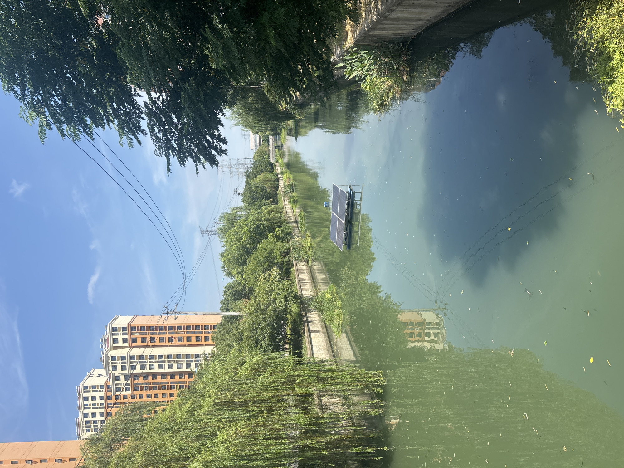 The image depicts a canal running through a city with tall buildings and lush greenery. The canal water is a murky green and reflects the surrounding trees and buildings. On the water, there is a floating platform with two solar panels. On the left bank of the canal, there are several tall residential buildings with orange and beige facades. A large weeping willow tree with long, drooping branches partially obscures the buildings. On the right bank, the canal is lined with concrete walls and a dense growth of green plants and trees. Power lines and transmission towers are visible in the background, stretching across the sky. The sky is blue with scattered white clouds. The scene appears to be in a developed urban area with a significant amount of vegetation. Based on the context provided, this scene is located in the city of Suzhou Industrial Park, China.