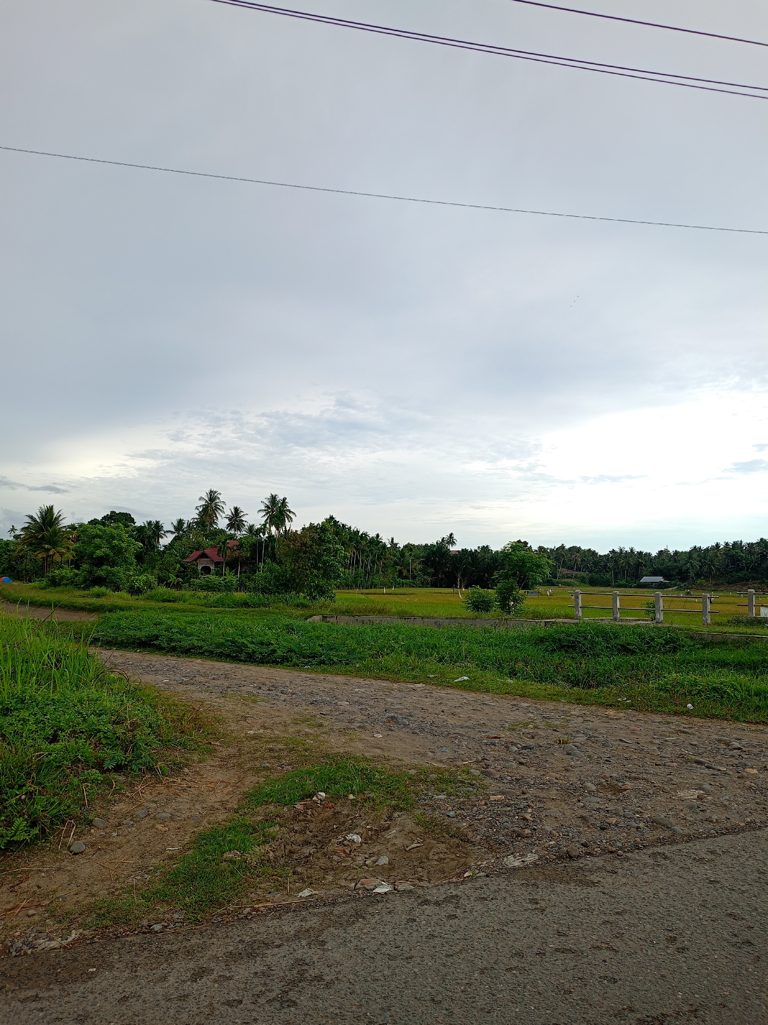 The photograph captures a rural scene in Buketteukuh, Indonesia. In the foreground is an unpaved dirt road transitioning to asphalt pavement. Green grass and weeds line the edge of the road. Beyond the road, a landscape of rice paddies stretches into the midground. These fields are separated by a small, concrete bridge with a basic railing. Dense vegetation, including palm trees and various green trees, borders the rice paddies. A house with a red roof is partially visible amidst the foliage. Overhead, a cloudy sky dominates the upper portion of the frame, with power lines cutting across the sky.
