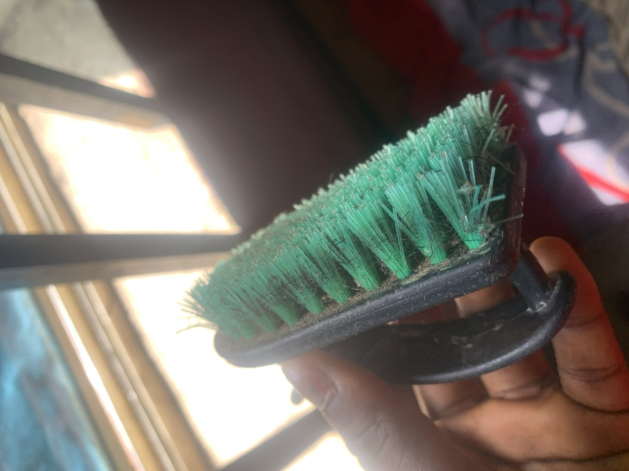 In Jauro Yinu, Nigeria, a close-up shot captures a hand holding a green-bristled brush. The brush, with a black plastic handle, appears to be dusty, with some dark fibers mixed in with the bristles. The background is out of focus, showing a window with sunlight streaming through, creating bright highlights and casting shadows. The overall scene suggests an indoor environment, possibly a home or workshop, with natural light illuminating the subject.