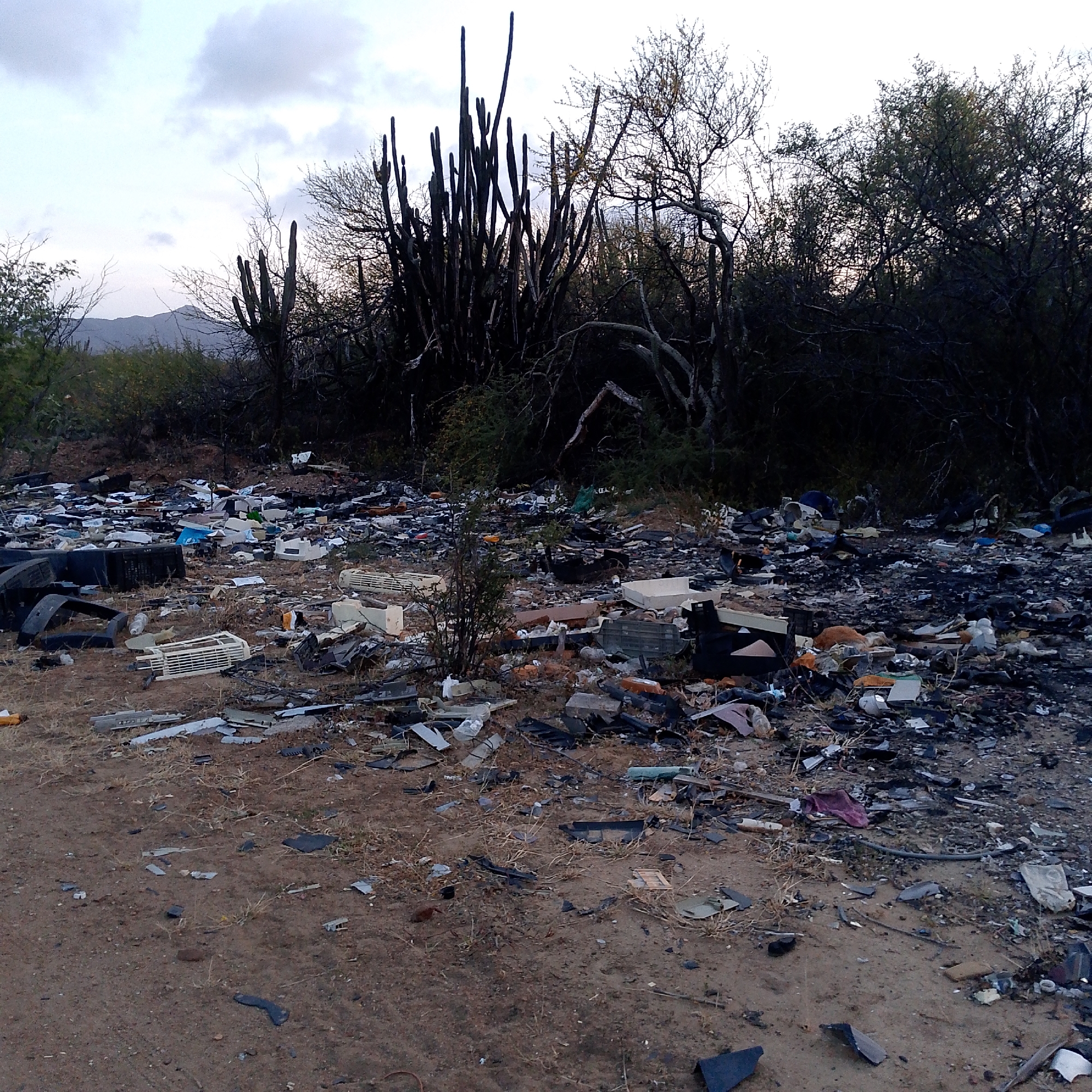 The image depicts a large amount of scattered trash and debris in an outdoor environment. It appears to be a dumping site located near vegetation, including cacti and shrubs. The ground is mostly dirt with trash strewn across it. The trash includes pieces of plastic, metal, and other unidentified materials. In the background, there are trees and a mountain range visible under an overcast sky. The image is purportedly taken in Altagracia, Venezuela, but there are no identifying elements that specifically confirm this. There are no people visible in the image.