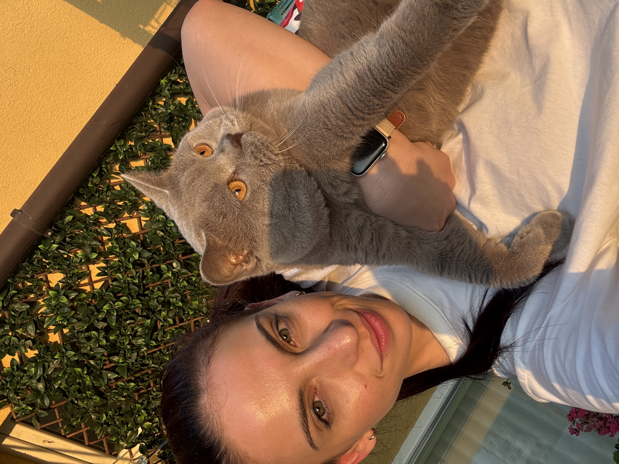 This image, taken in Varna, Bulgaria, depicts an adult female holding a cat outdoors. The woman, positioned centrally, has dark hair pulled back into a ponytail and prominent green eyes, smiling gently while looking directly at the camera. She wears a plain white short-sleeved t-shirt and a silver-colored smartwatch with a light brown leather band on her left wrist.
The cat, a grey-furred feline with striking amber-orange eyes, is held by the woman, resting across her left arm and chest. Its head is turned upwards and towards the right of the frame, away from the camera. The cat appears to be a British Shorthair breed, characterized by its dense fur and rounded facial features.
The scene is illuminated by strong, warm, low-angle sunlight, indicating either sunrise or sunset ("golden hour"). This lighting casts distinct shadows on the right side of the woman's face and on the cat's body and face, as well as across the folds of her white t-shirt.
In the background, there is a wall partially covered with a green artificial foliage trellis. Above and to the right of the greenery, a brightly lit yellow-painted wall is visible, along with a dark brown drainpipe running diagonally across the upper right quadrant of the frame. In the lower-left corner, a white window frame and some small pink flowering plants are partially visible.