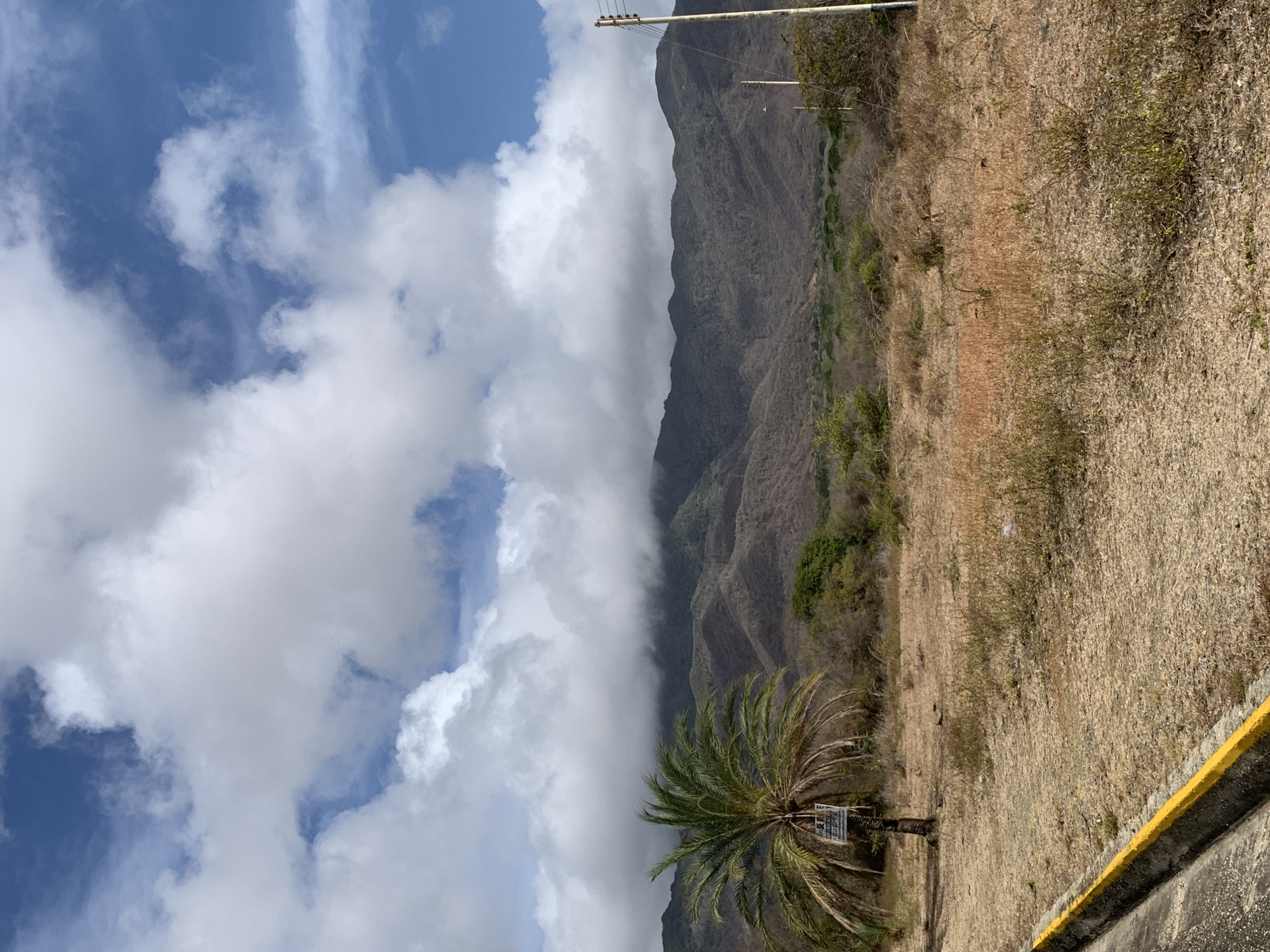 This image shows a landscape near Santa Ana, Venezuela. The environment includes a mountain range, a relatively dry, grassy plain, and a partly cloudy sky with visible blue patches. A palm tree stands in the foreground. There is a yellow curb along the edge of a paved area. Overhead utility lines are visible near the top of the frame.