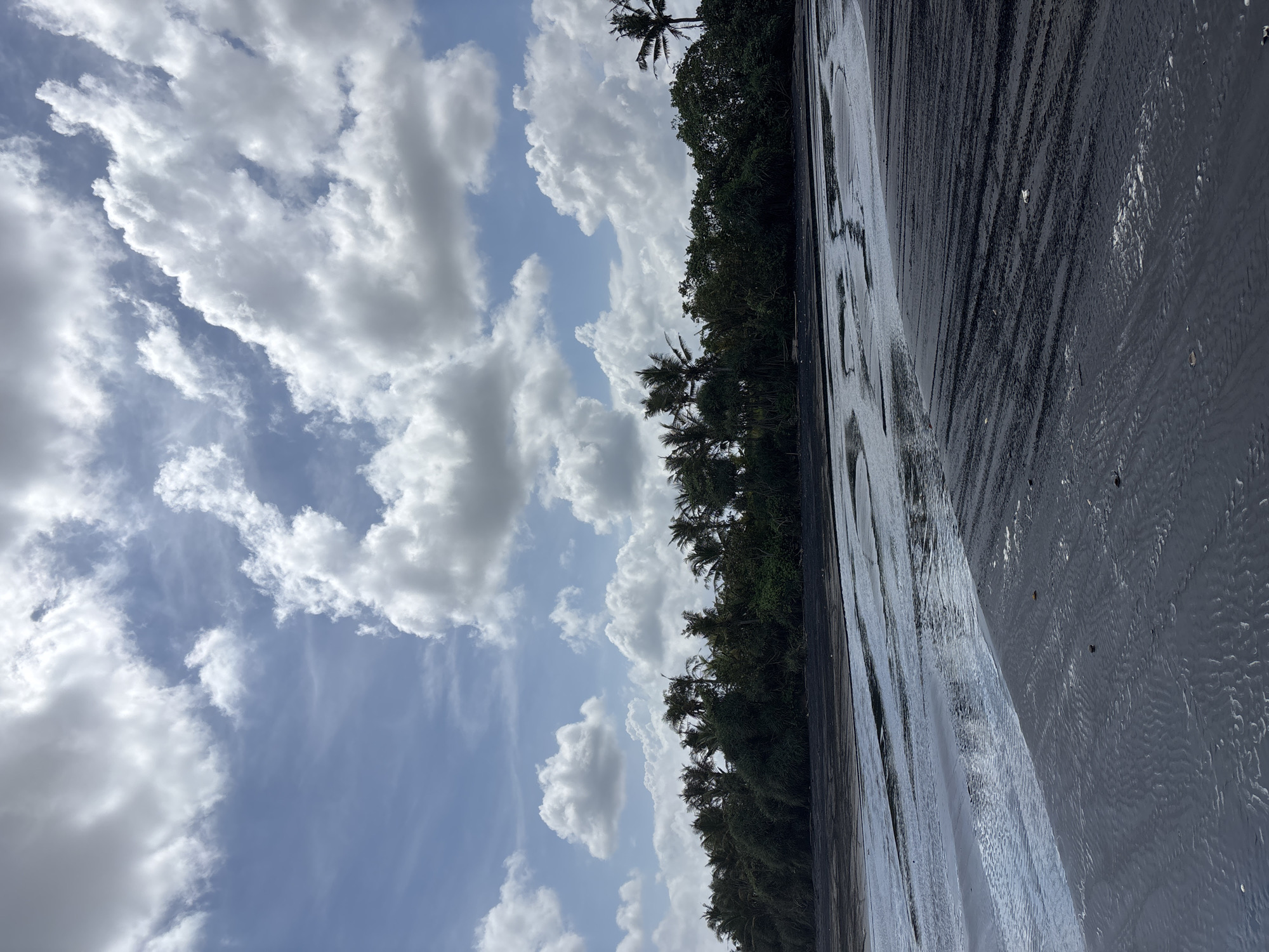 The image presents a coastal scene likely in the Selemadeg Timur area of Indonesia. The left side of the image shows a bright sky filled with puffy, white clouds against a blue background. Running along the horizontal center is a line of lush, green trees, likely coastal vegetation including palm trees. To the right of the trees is an expanse of dark, wet sand, likely a beach at low tide. The sand displays patterns of ripples and smooth patches created by water movement. The composition is viewed from ground level, the perspective somewhat tilted. There are no people visible in the scene.