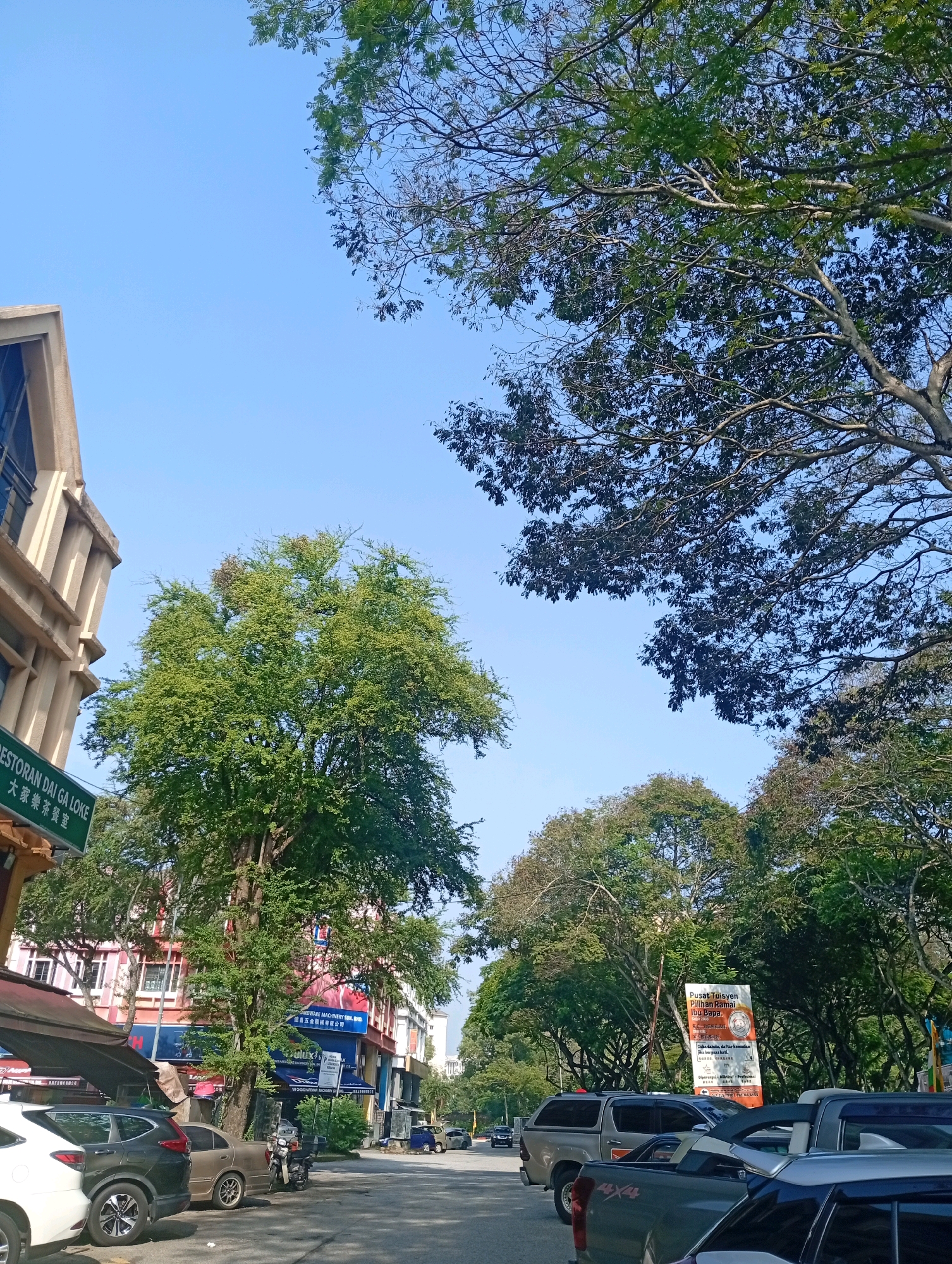A street scene in Selayang Municipal Council, Malaysia, shows a clear blue sky overhead with the canopy of large trees dominating the upper half of the frame. On the left, the beige facade of a multi-story building with architectural columns is visible. A green sign with Chinese characters and the text "RESTORAN DAI GA LOKE" is attached to the building. Below the building, several parked cars, including a white SUV and a dark SUV, are lined up on the asphalt road. A motorcycle is parked between two cars. Further down the street, more vehicles and buildings can be seen, with dense green foliage lining the sides of the road. A large orange and white billboard with text in Malay and Chinese stands on the right side of the street. The scene depicts a typical urban environment with commercial establishments and residential buildings, interspersed with mature trees.