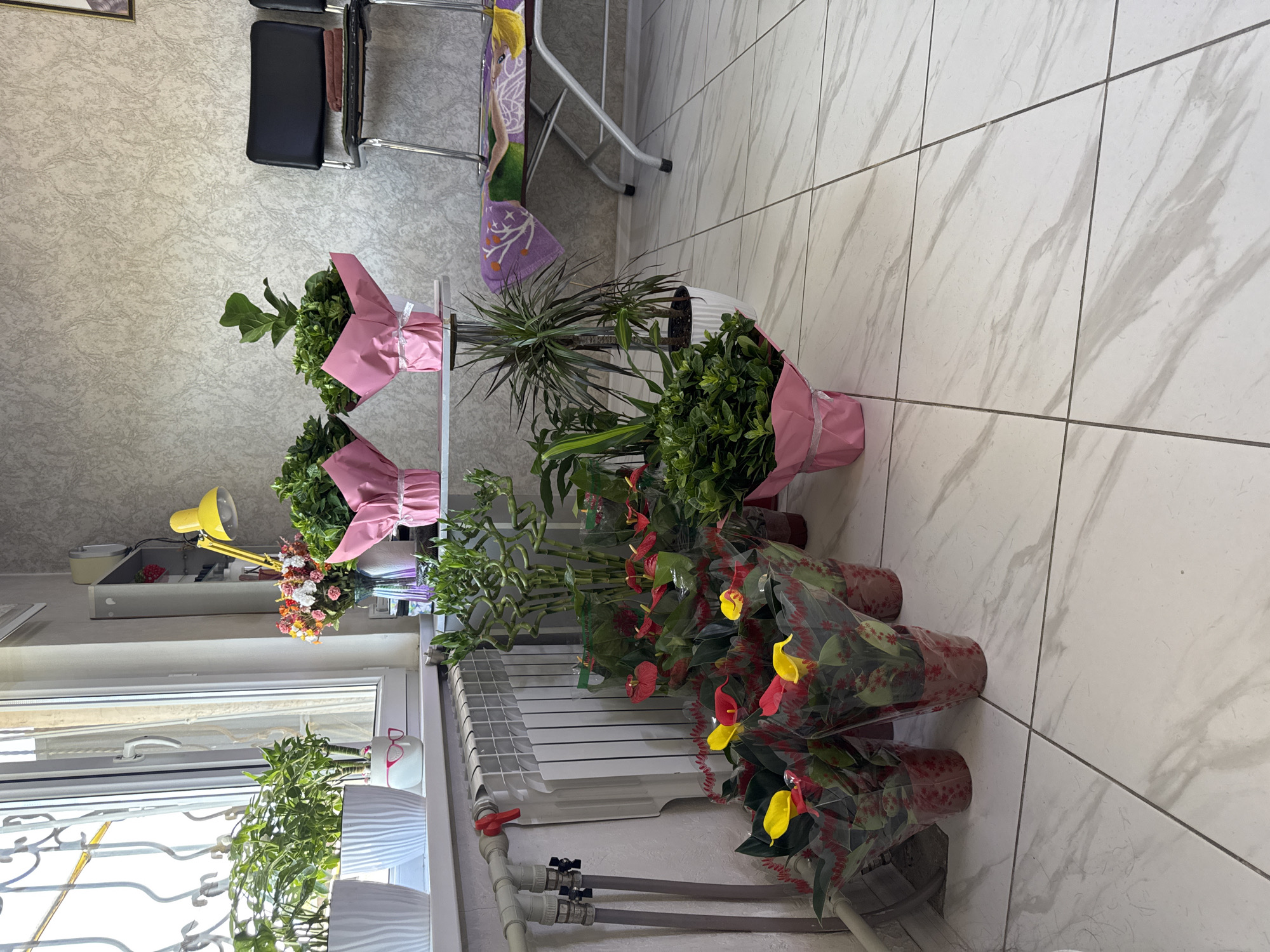 The image depicts an indoor scene with a variety of potted plants arranged near a window and a radiator. On the windowsill, two white planters hold green plants. To the right of these, a vase contains a bouquet of small, colorful flowers. Further to the right, on a white shelf, two larger plants are displayed, each wrapped in pink paper with a white ribbon. In the foreground, on the floor, several potted plants are visible. These include a tall, twisted bamboo-like plant, several red and yellow anthurium flowers in clear plastic wrapping, and a darker green leafy plant in a white pot. To the right of the anthuriums, another leafy plant is wrapped in pink paper. In the background, two black chairs with chrome legs are positioned against a textured wall. One chair has a colorful fabric draped over it, featuring a purple design with a figure. A yellow desk lamp is also visible on a shelf in the upper right portion of the image. The flooring appears to be white tiled with a marble-like pattern. The scene suggests a retail or decorative setting, potentially a florist shop or a reception area. The location is identified as Кіші Байсерке, Kazakhstan.